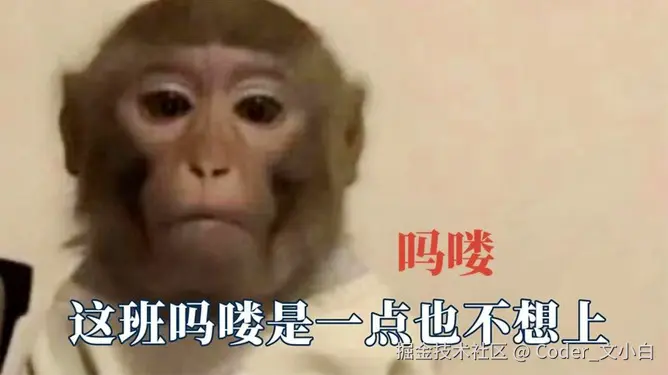 Coder_文小白于2024-07-18 09:44发布的图片