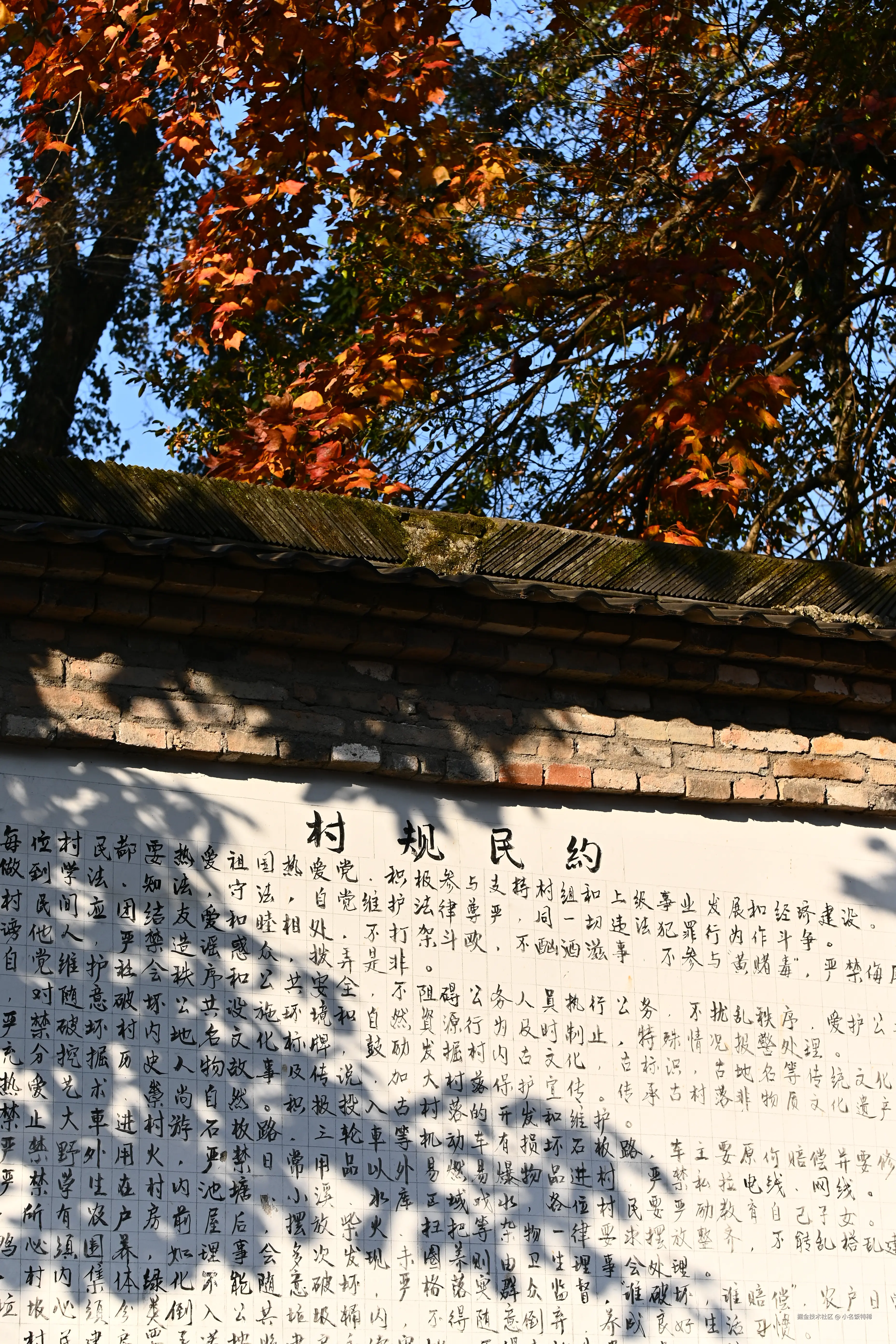 小名饭特稀于2025-12-10 10:41发布的图片