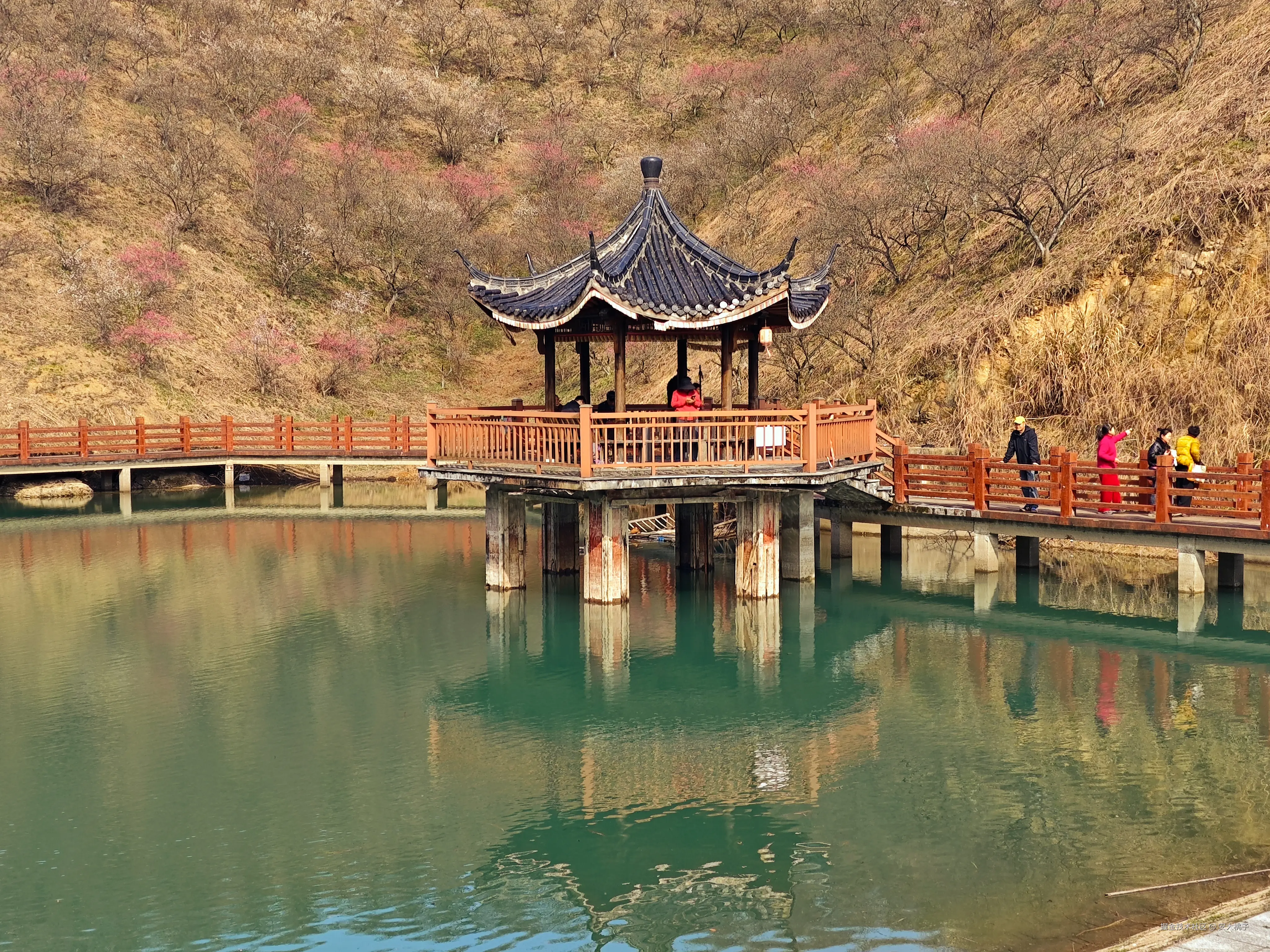 安大桃子于2026-02-19 11:25发布的图片