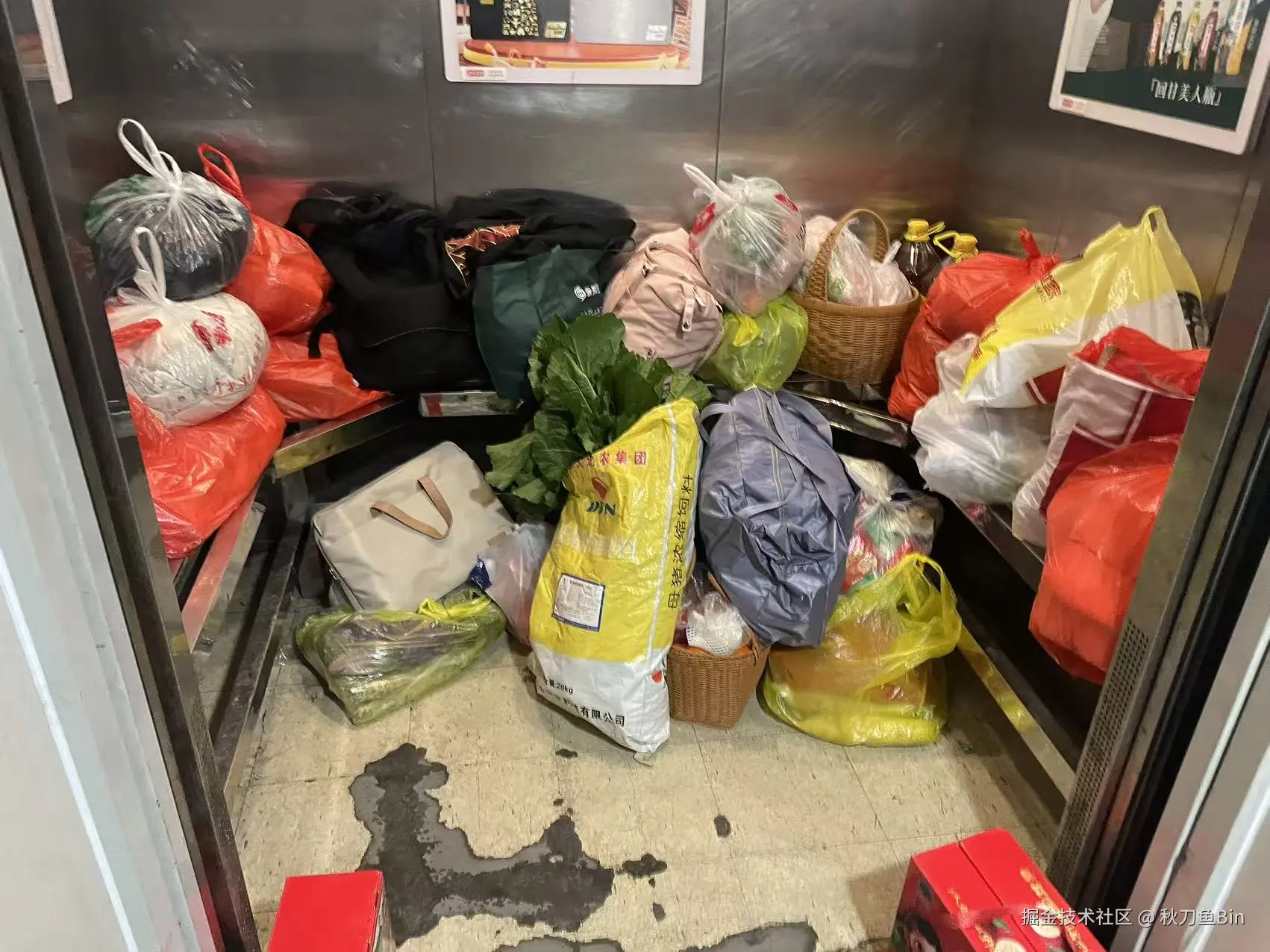 秋刀鱼Bin于2026-02-25 16:42发布的图片