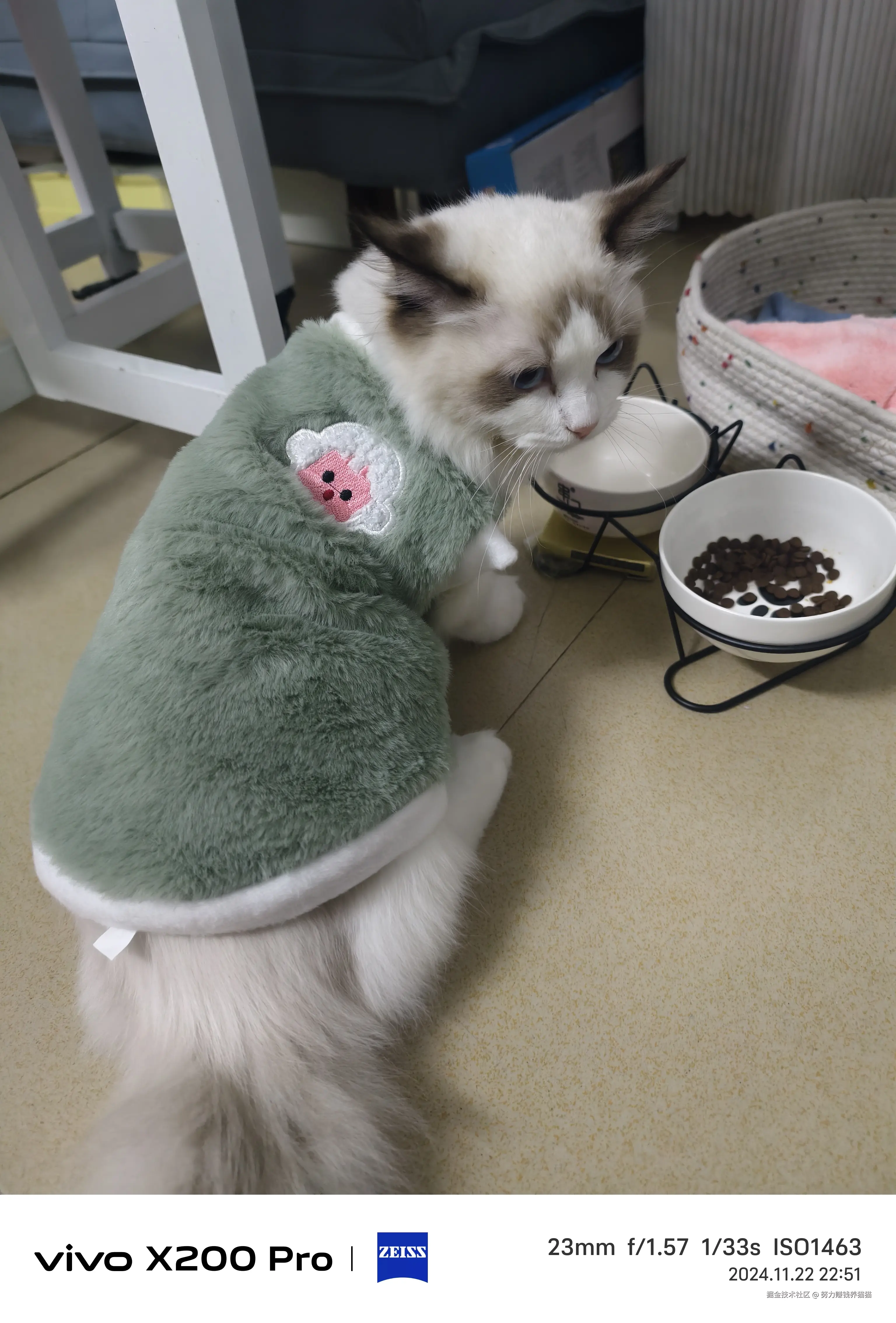 努力赚钱养猫猫于2024-11-23 10:11发布的图片