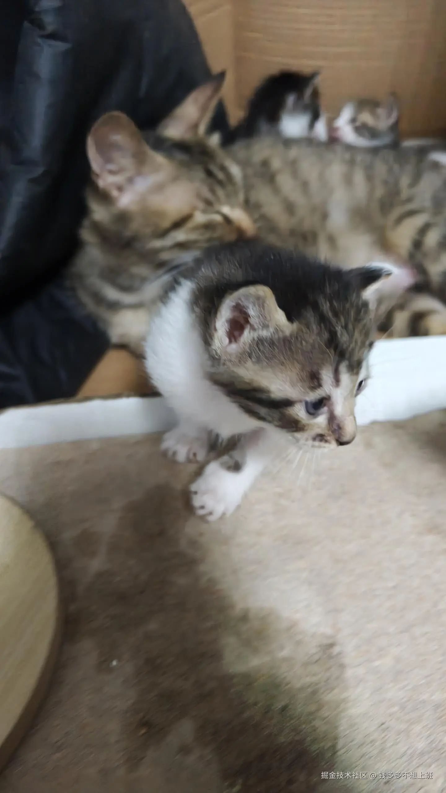 钱多多不想上班于2025-05-08 14:51发布的图片