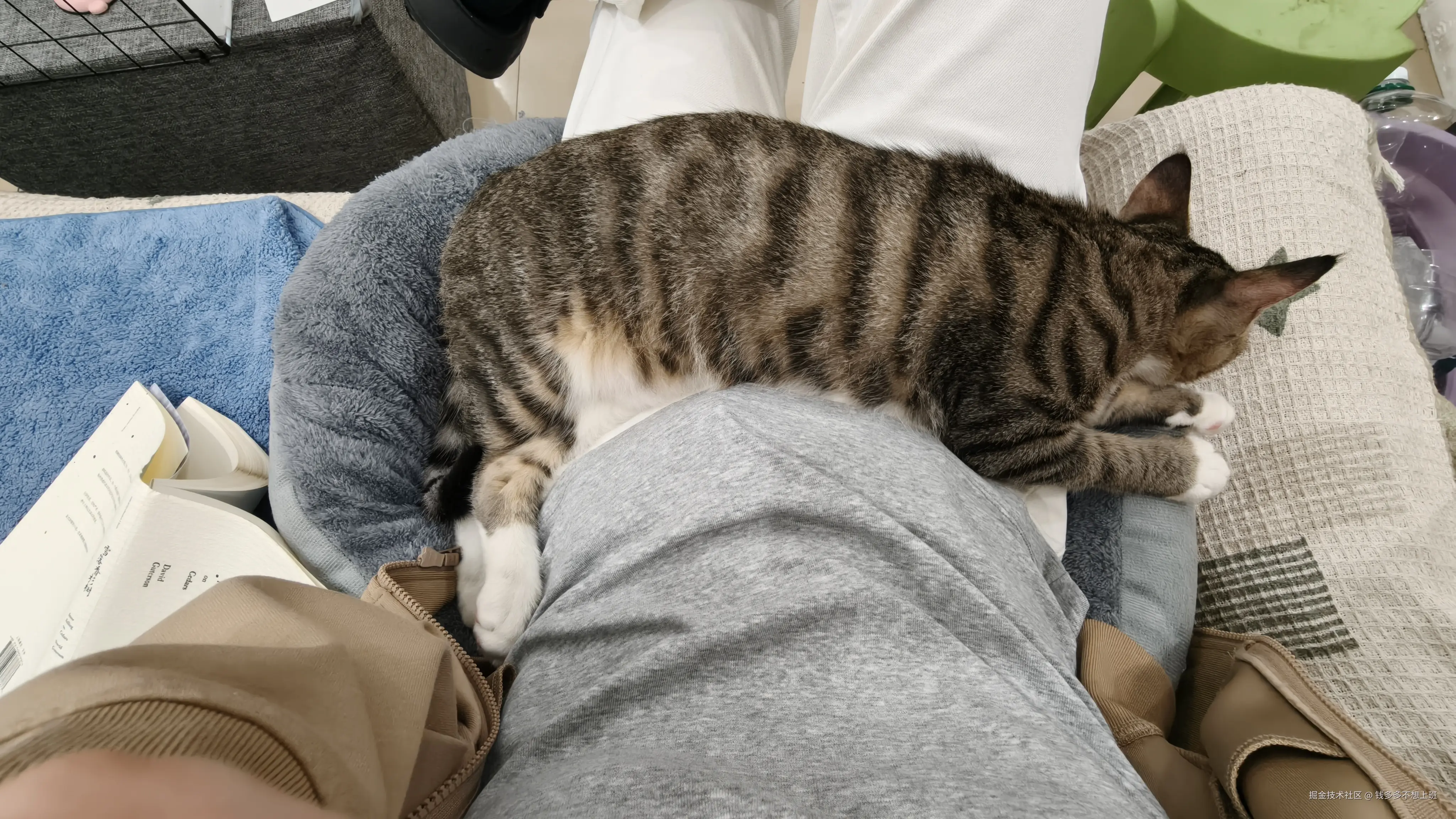 钱多多不想上班于2025-09-26 09:53发布的图片