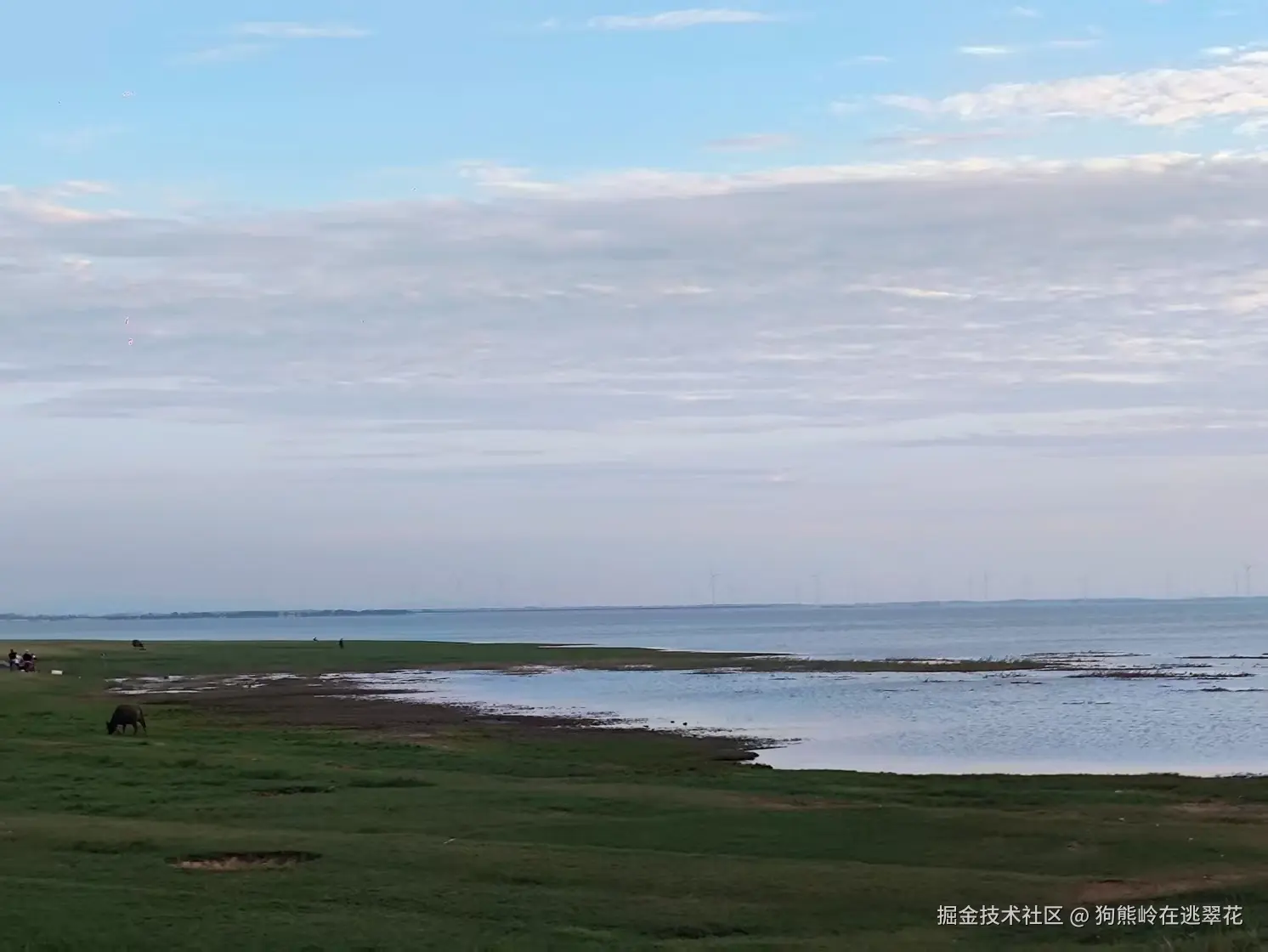 狗熊岭在逃翠花于2025-04-07 15:21发布的图片