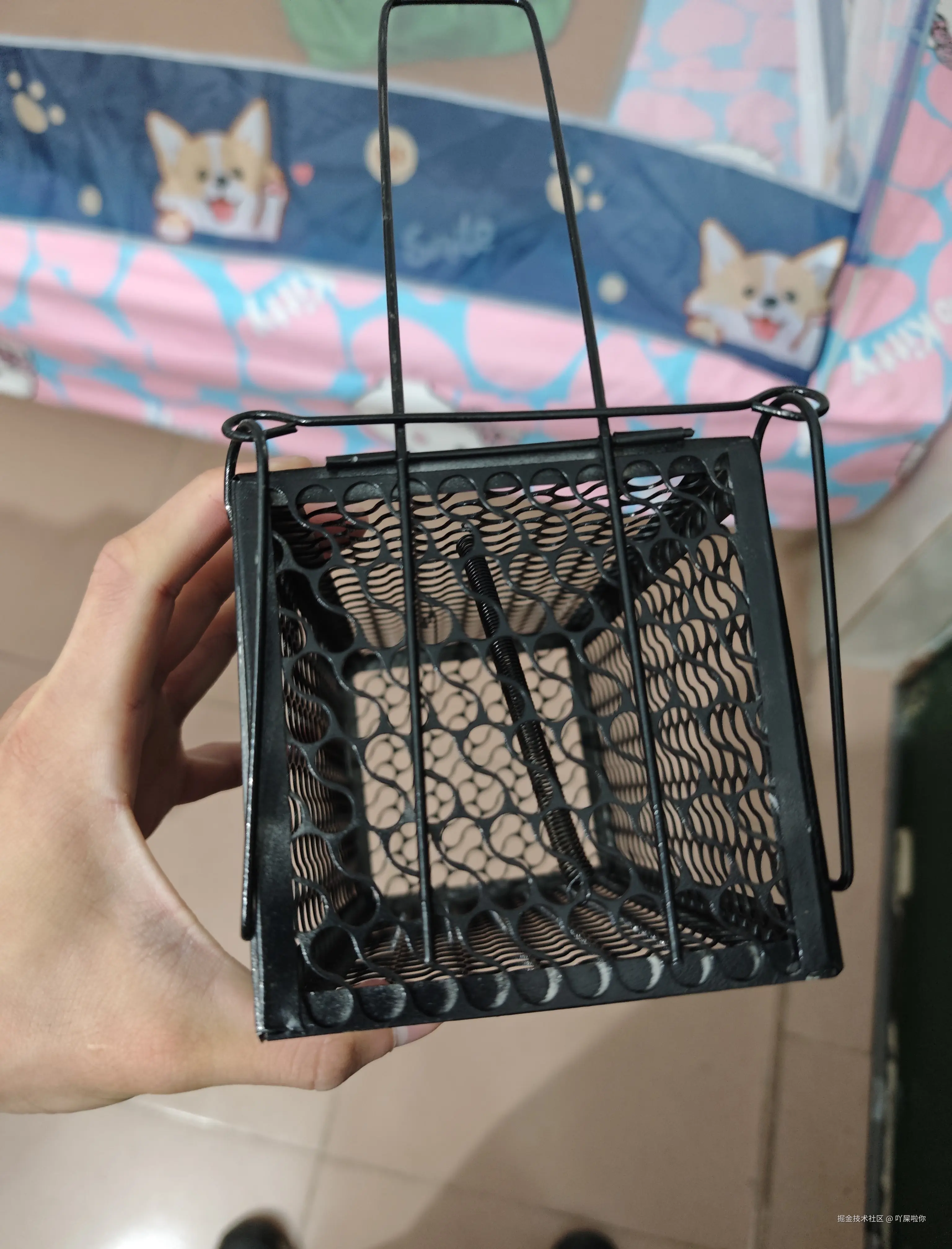 吖屎啦你于2024-11-30 15:31发布的图片