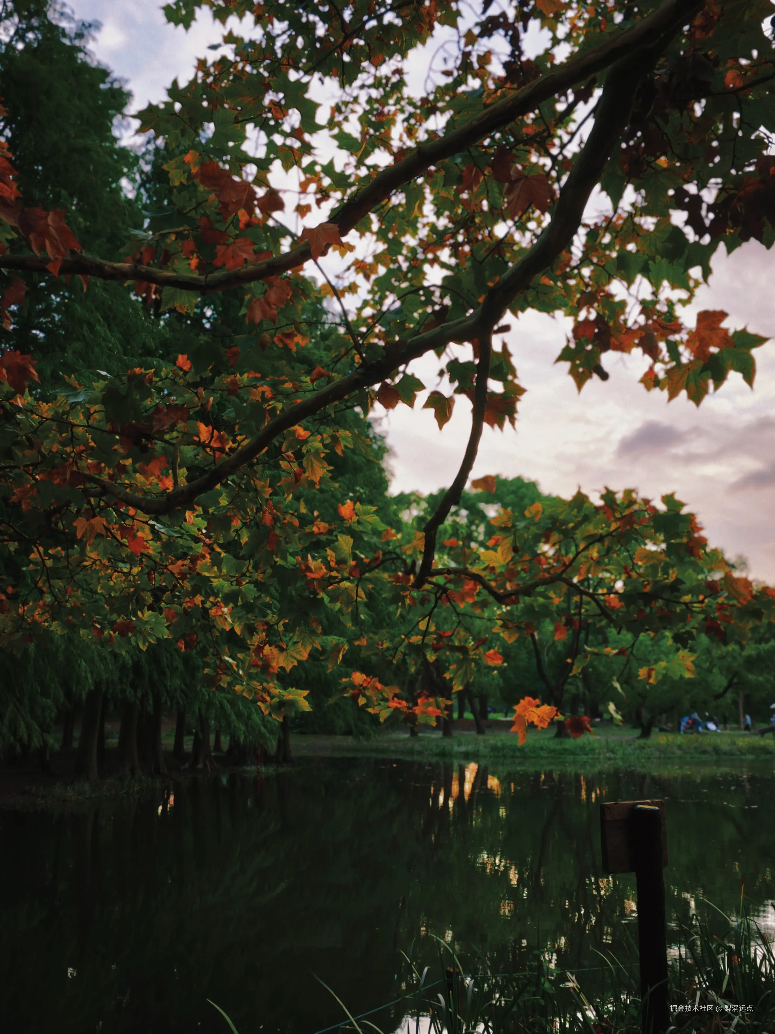 梨涡远点于2024-11-11 09:26发布的图片