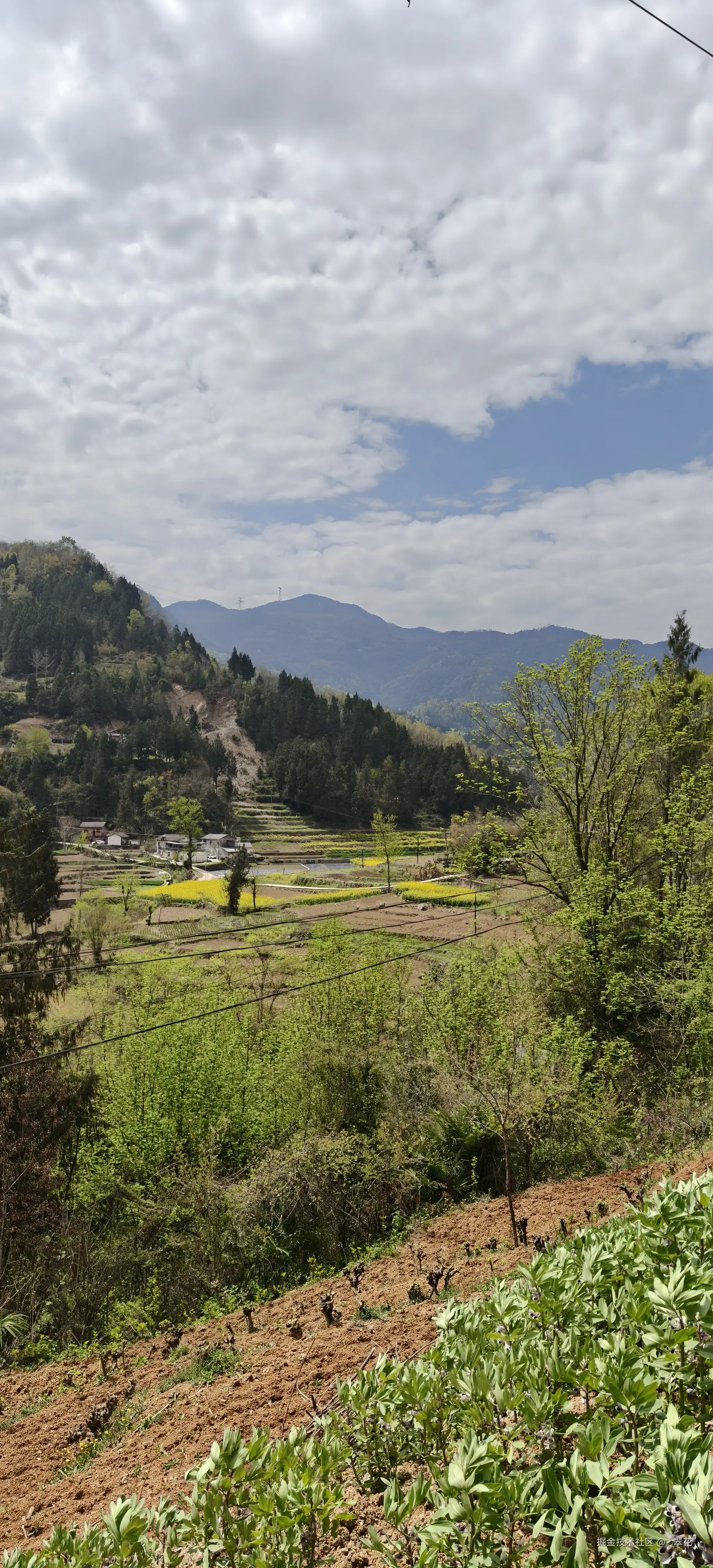 _翠花于2026-03-28 12:39发布的图片