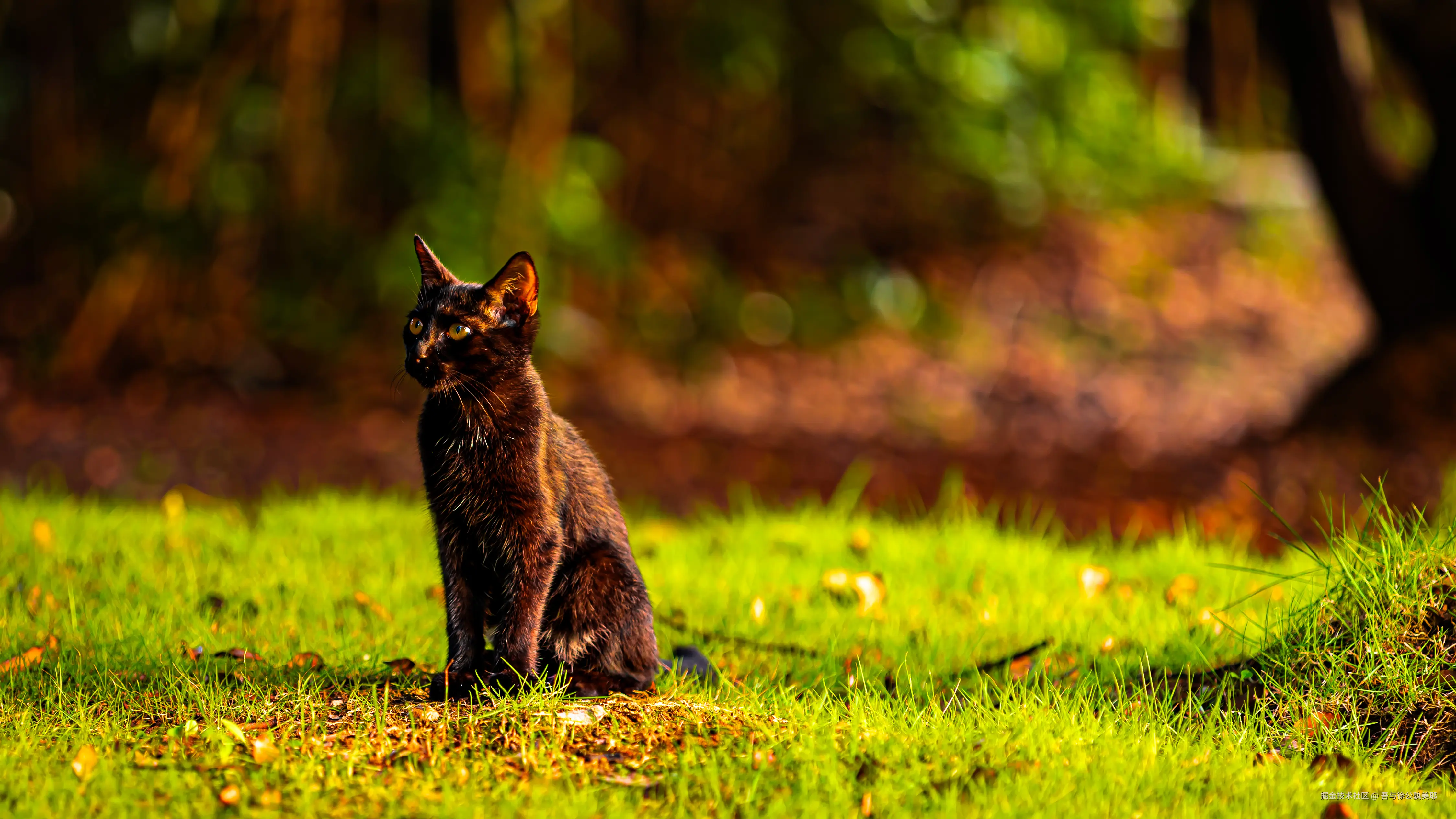 吾与徐公孰美耶于2024-08-26 10:54发布的图片