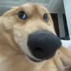 已注销于2025-02-24 10:38发布的图片
