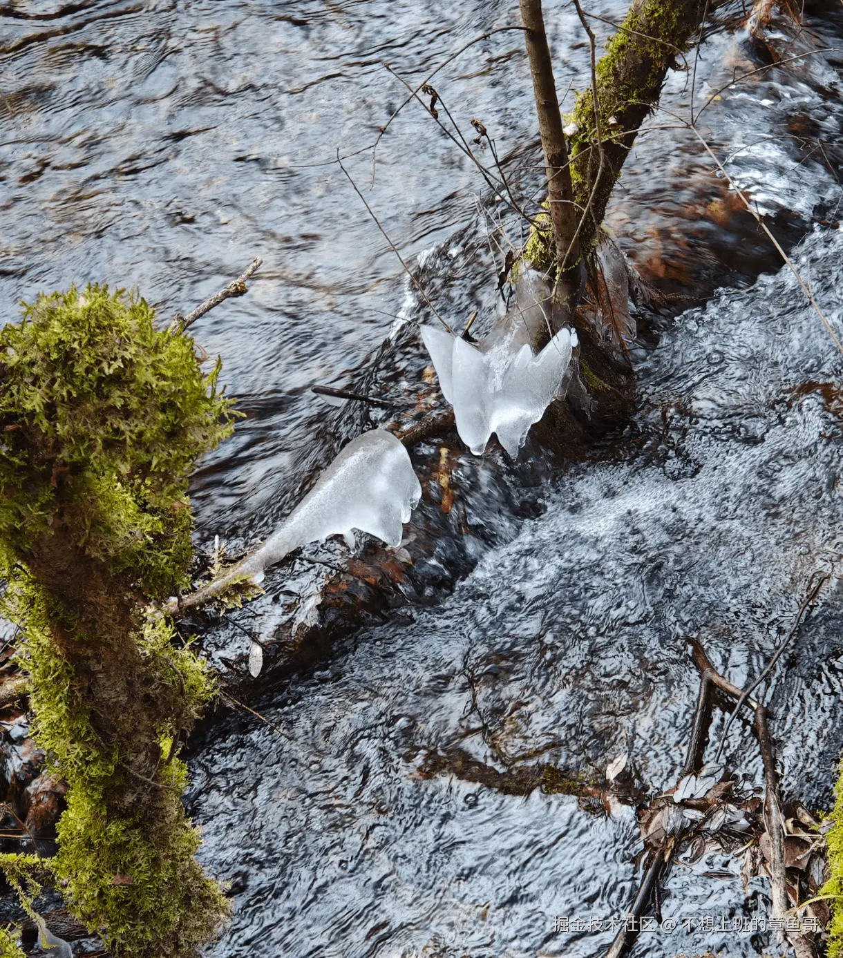 不想上班的章鱼哥于2025-12-09 17:55发布的图片