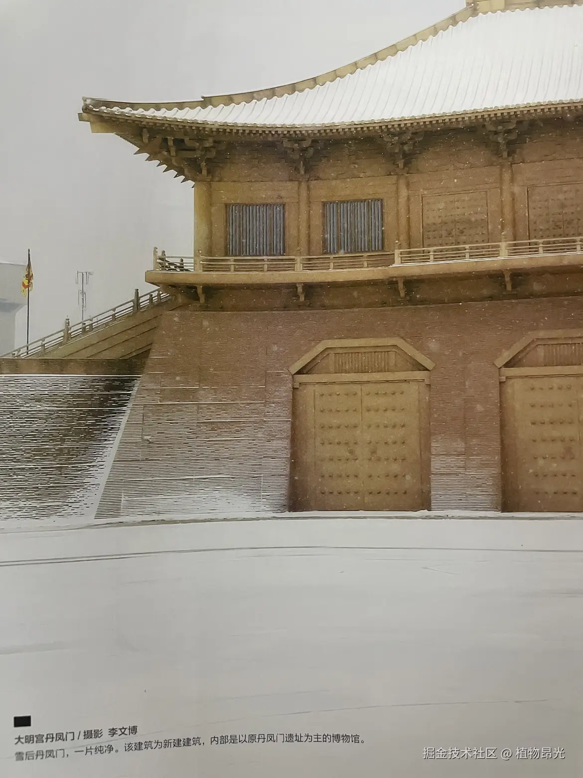 植物昂光于2026-03-30 21:11发布的图片