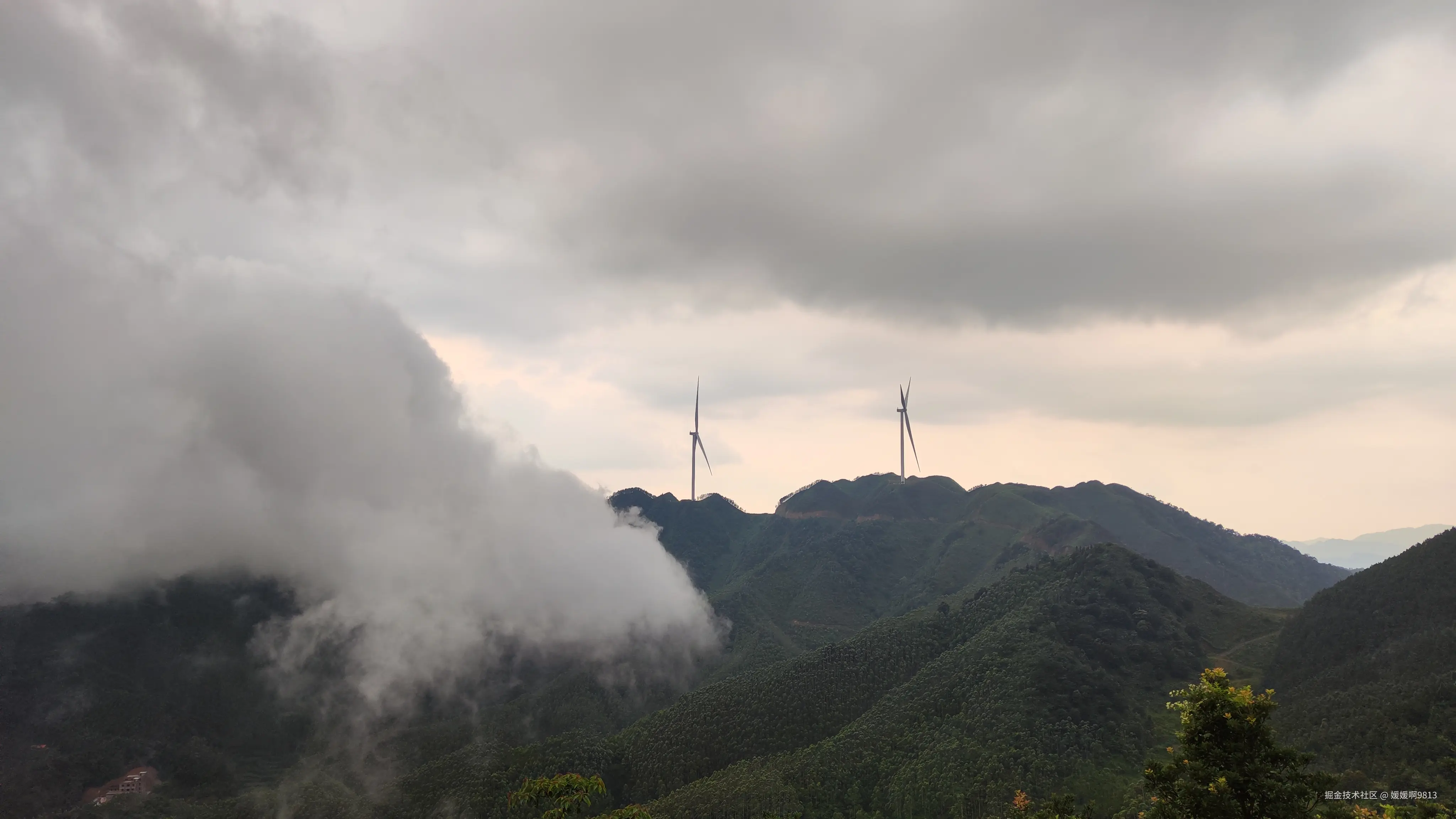 媛媛啊9813于2025-07-20 16:55发布的图片