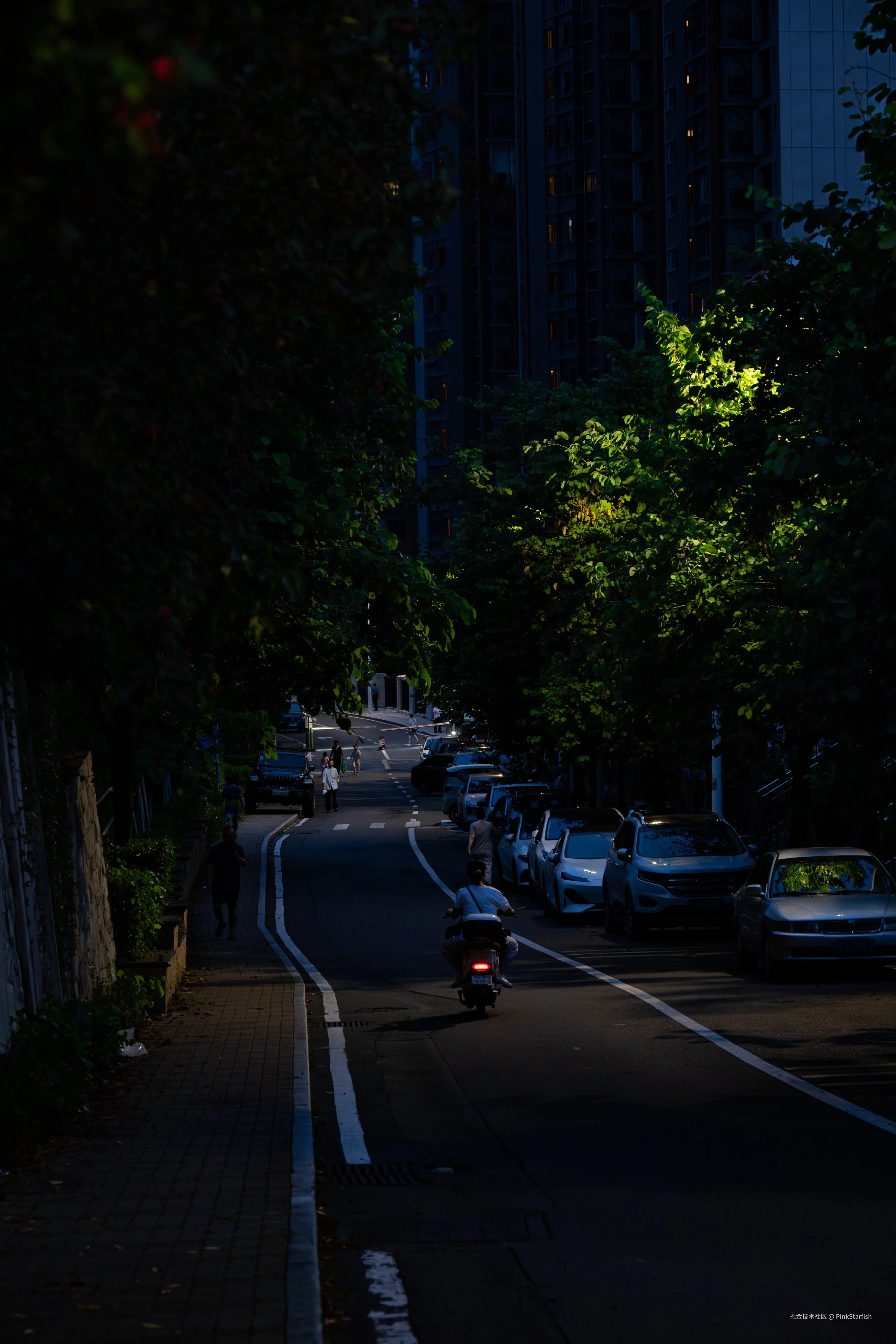 PinkStarfish于2025-07-28 15:35发布的图片