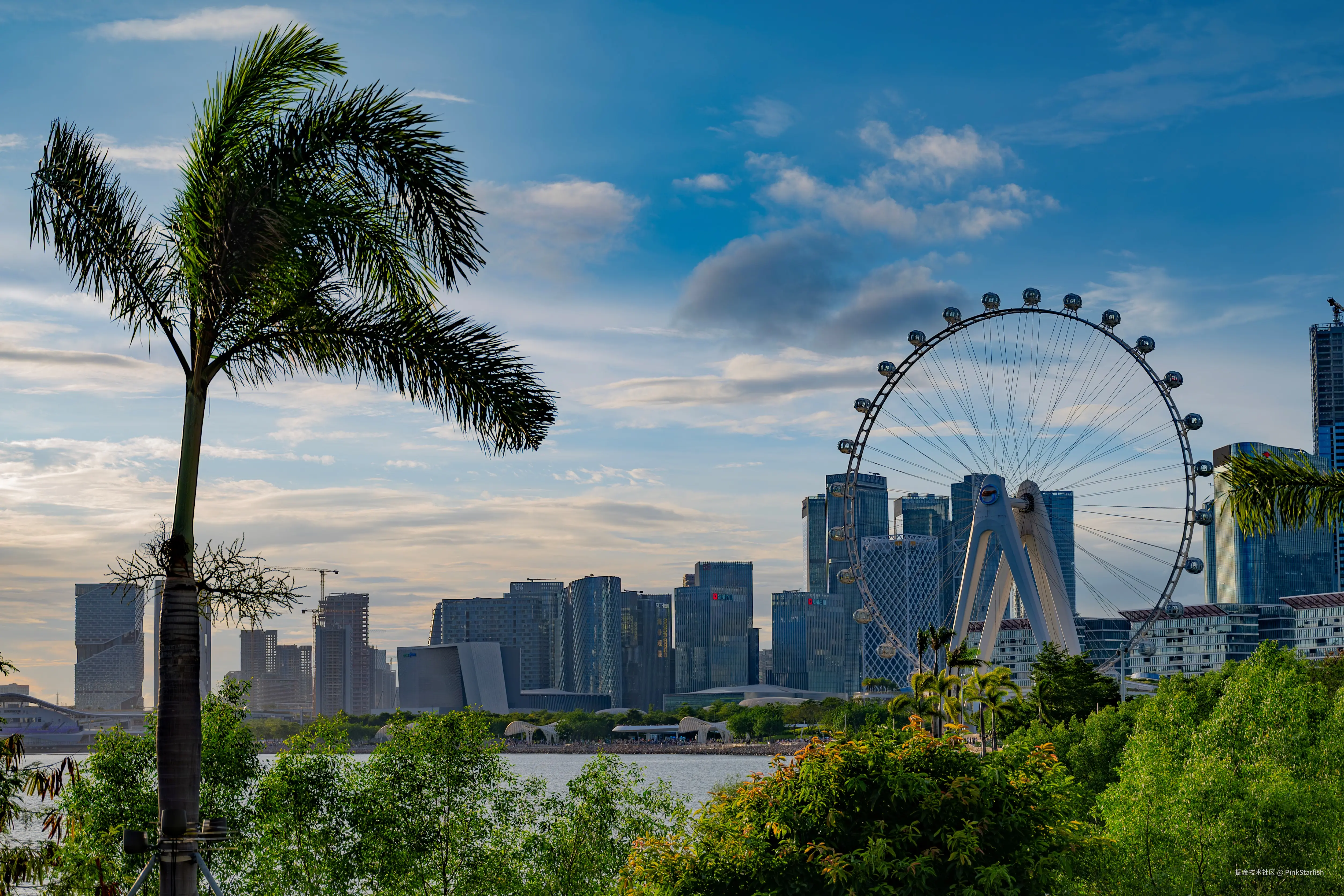 PinkStarfish于2025-06-26 11:35发布的图片