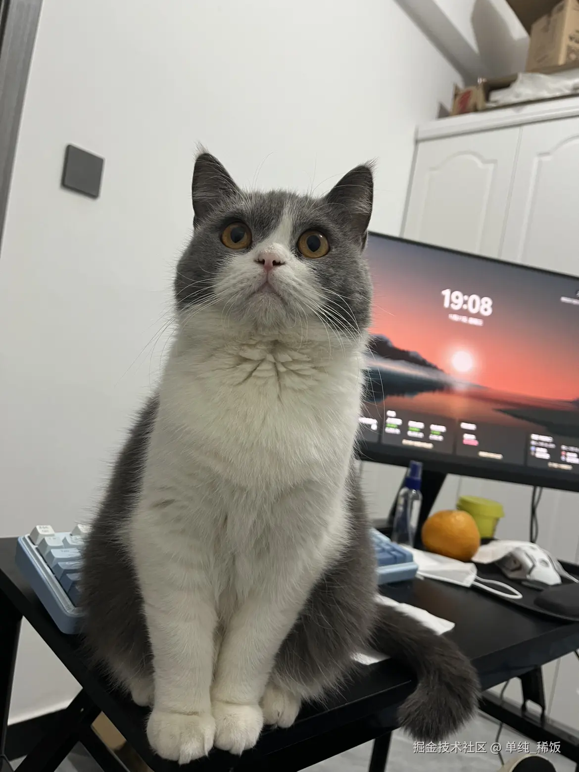 单纯_稀饭于2024-11-28 10:20发布的图片