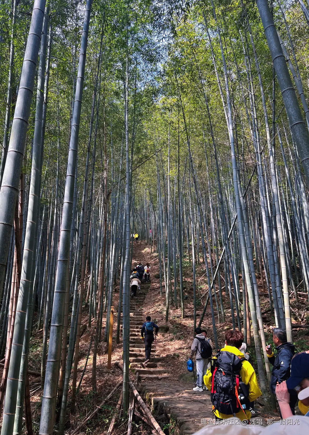 浅唱_那一缕阳光于2026-03-09 10:07发布的图片