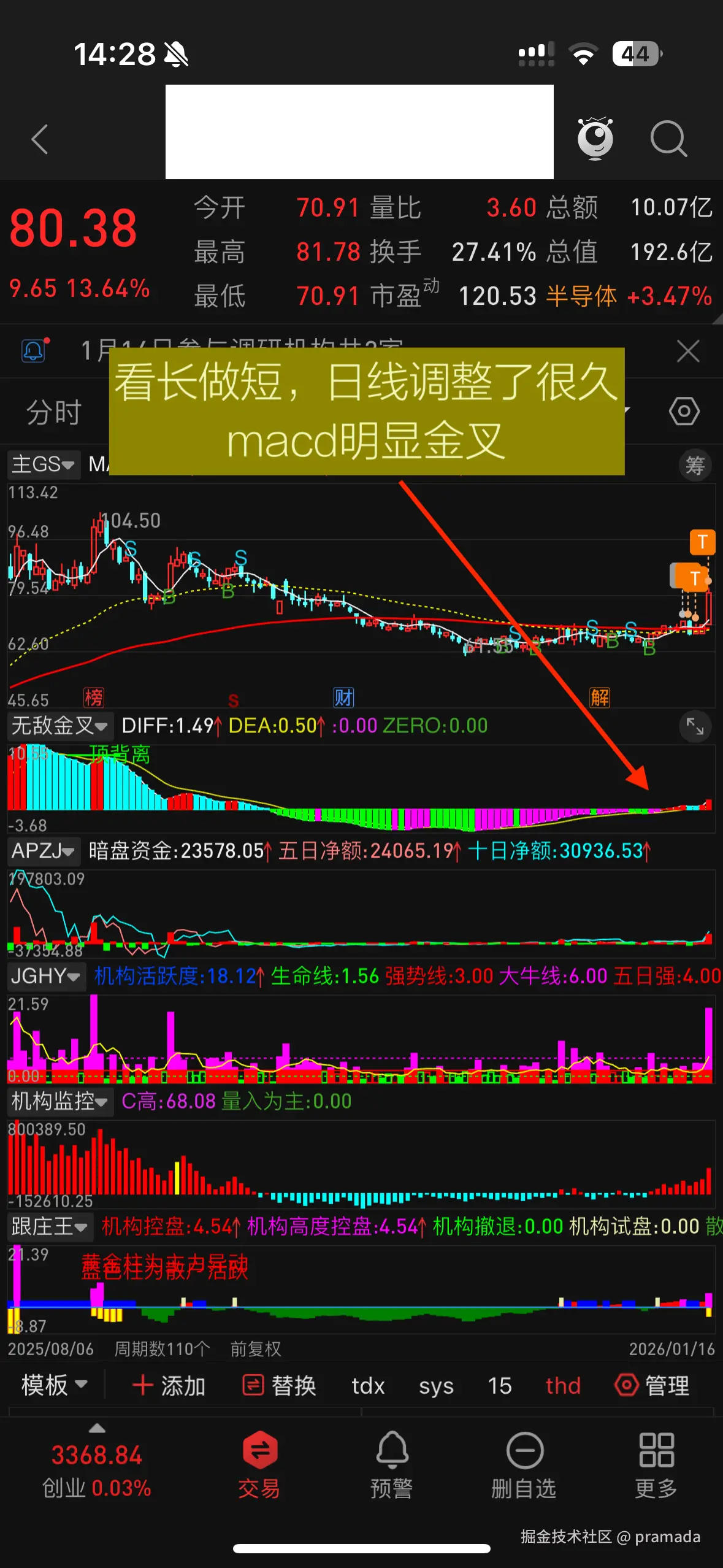 pramada于2026-01-16 14:41发布的图片