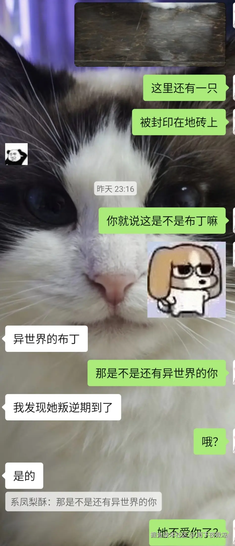 雨下夜微凉于2026-04-13 00:51发布的图片