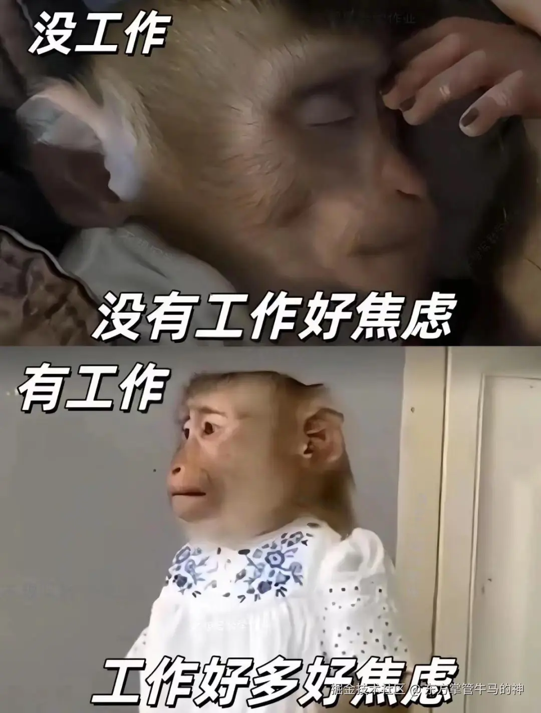 东方掌管牛马的神于2024-07-30 16:50发布的图片