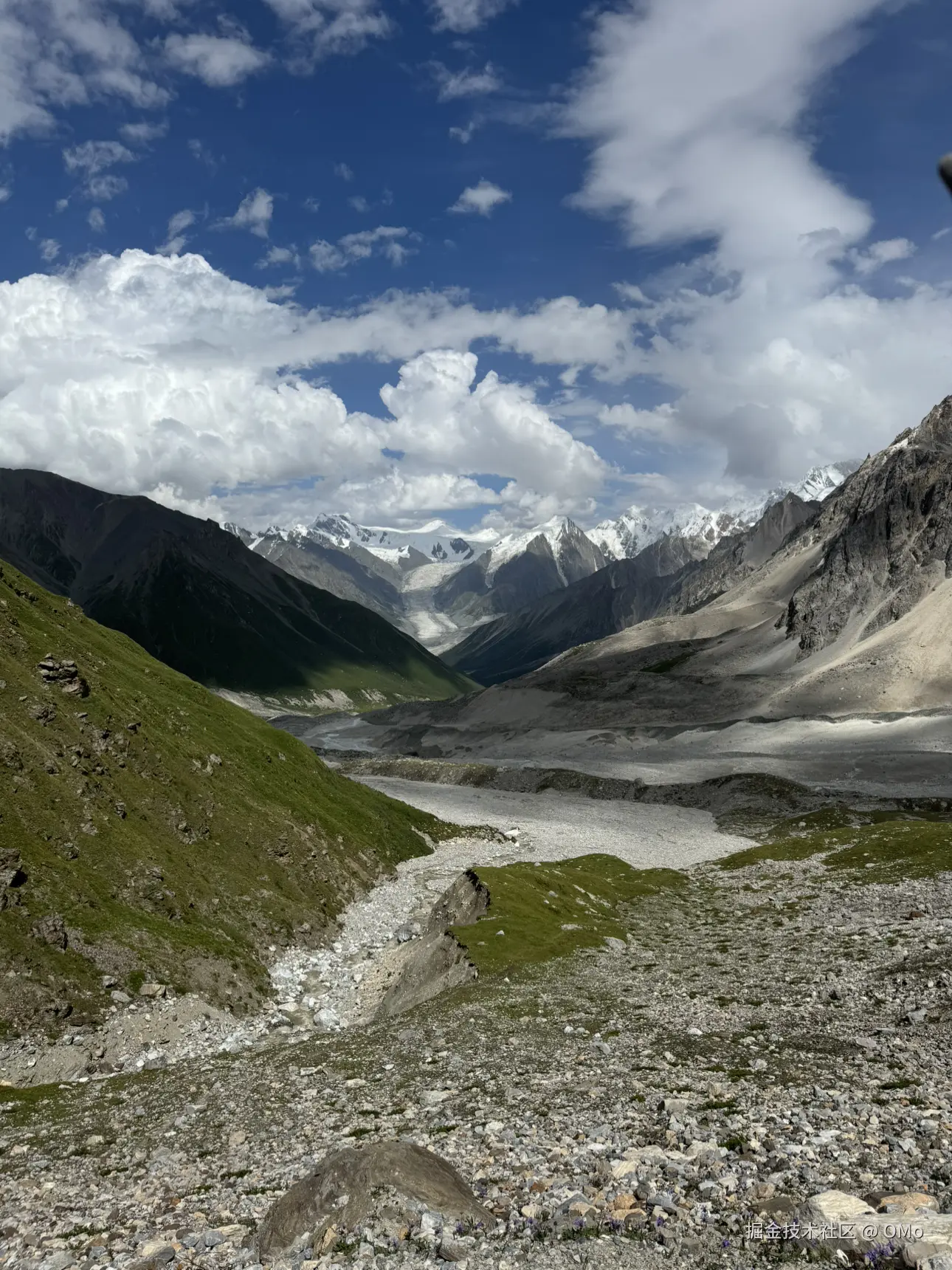 OMo于2026-01-23 09:58发布的图片