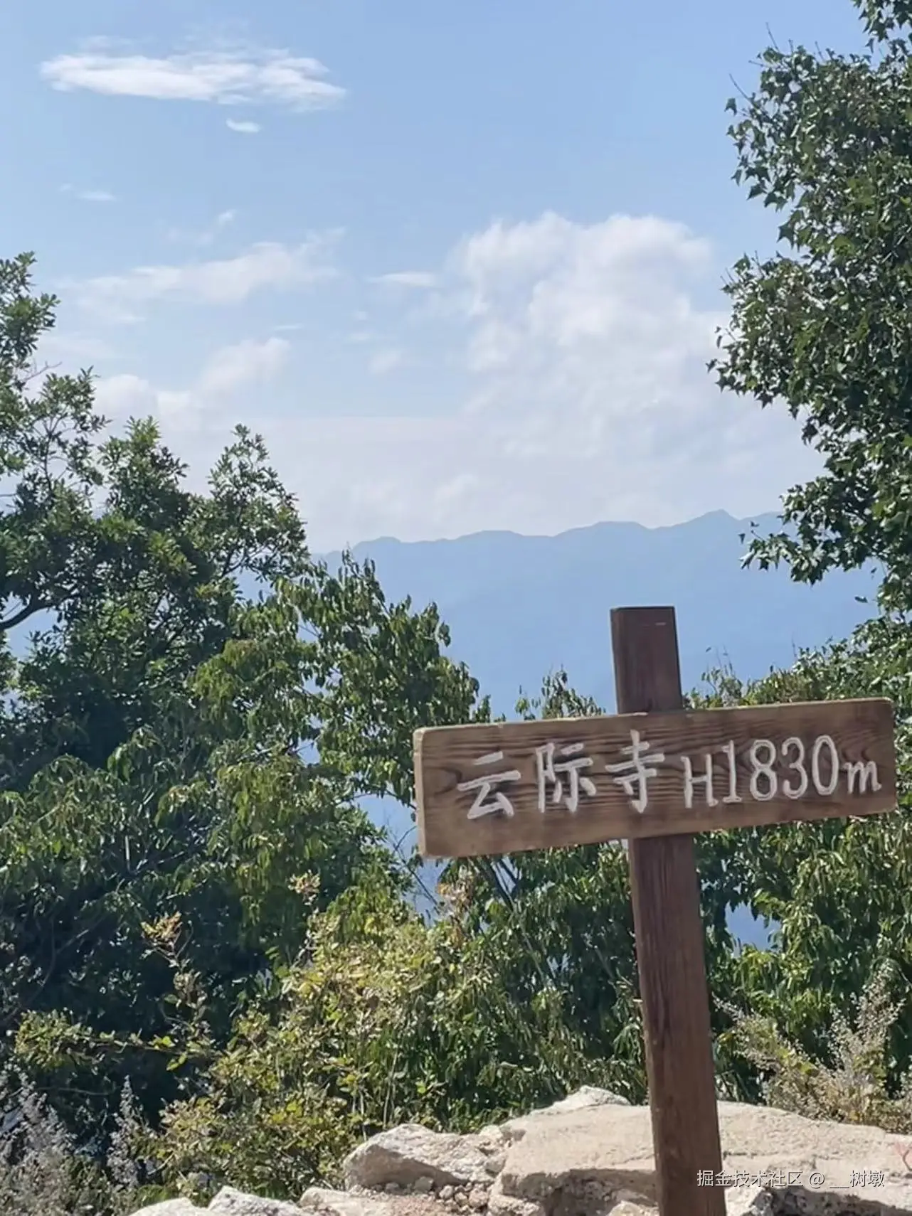 __树墩于2024-09-09 10:04发布的图片