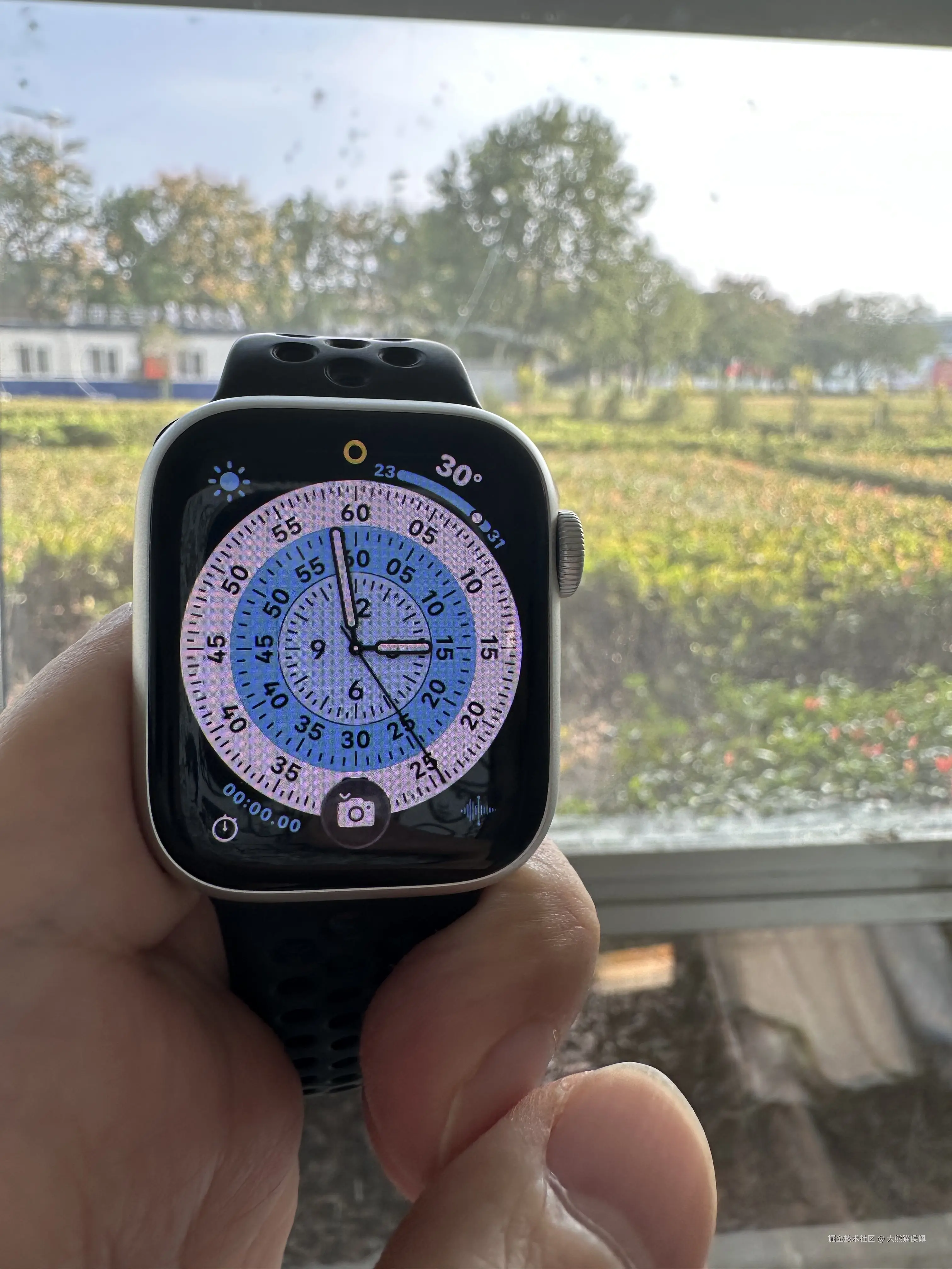 大熊猫侯佩于2025-10-08 15:02发布的图片