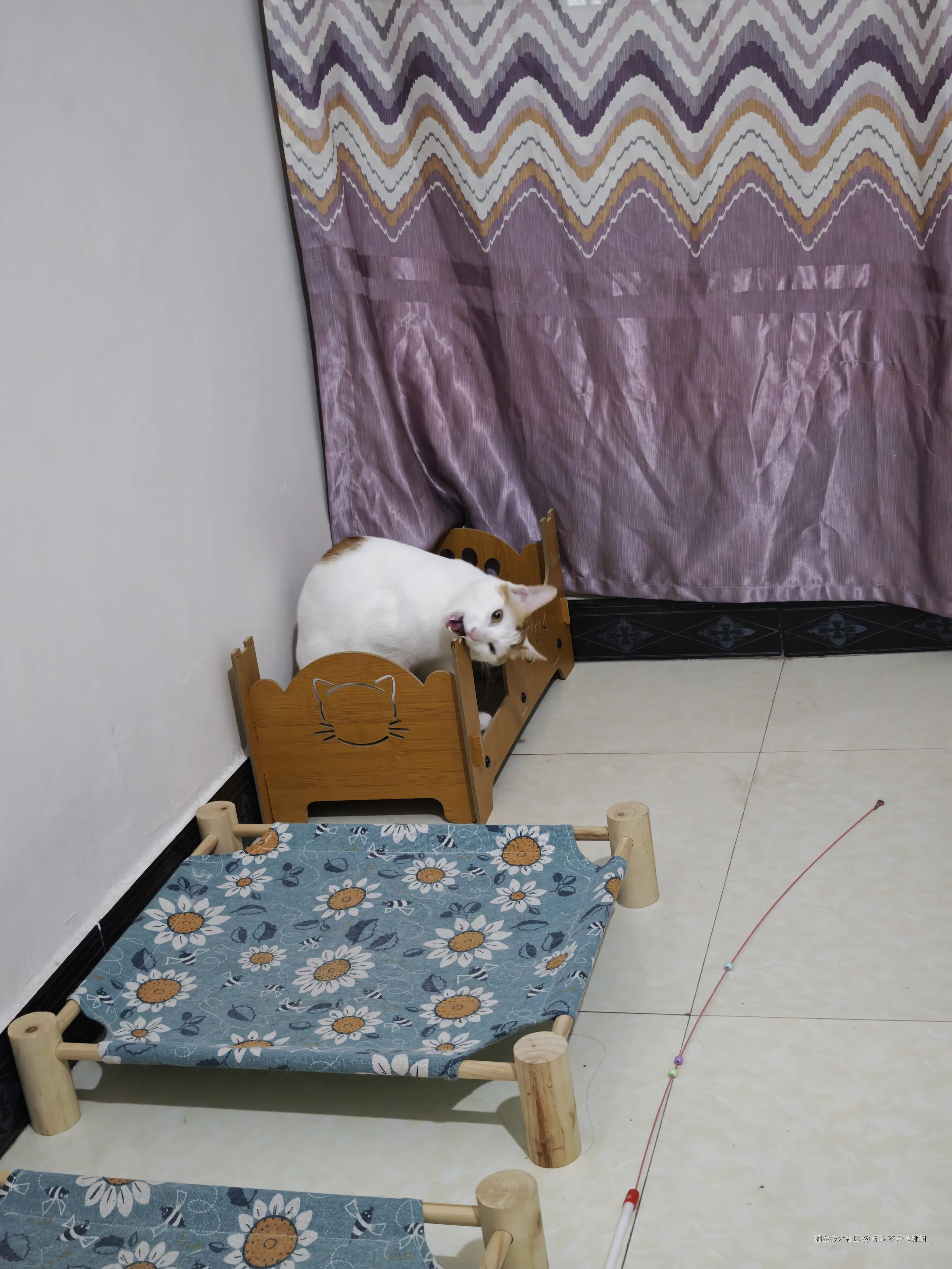 哪胡不开提哪胡于2025-05-06 09:36发布的图片