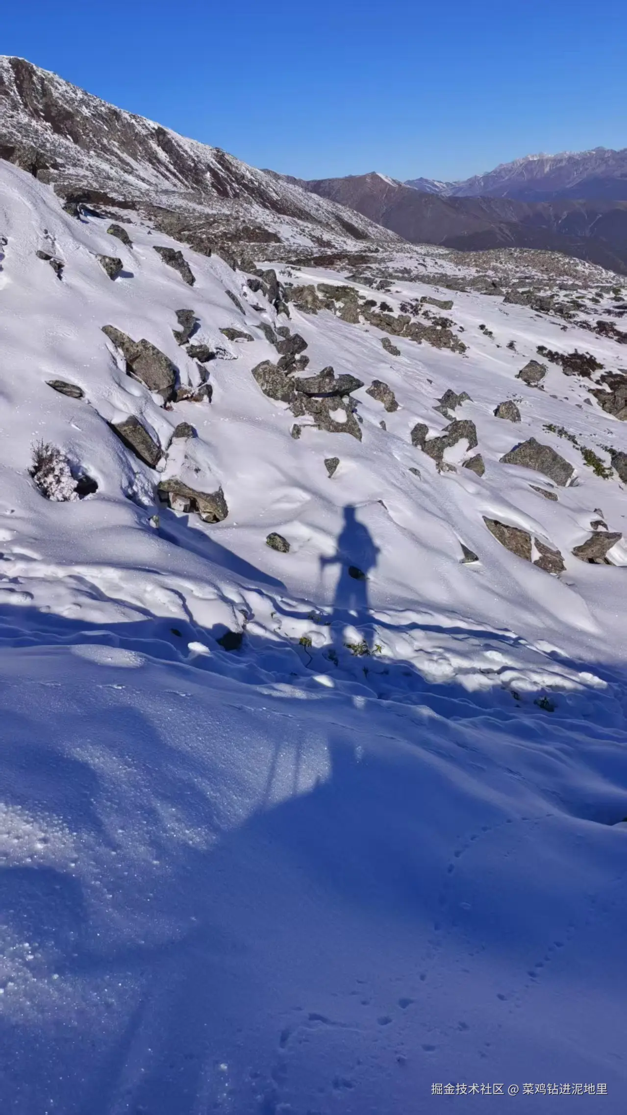 菜鸡钻进泥地里于2025-11-17 09:24发布的图片