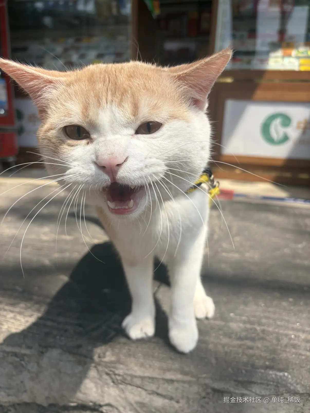 单纯_稀饭于2026-03-24 12:28发布的图片