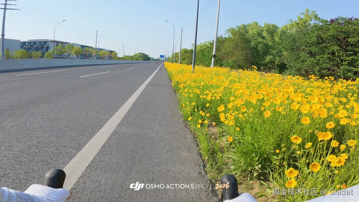 Giadat于2026-01-21 10:00发布的图片