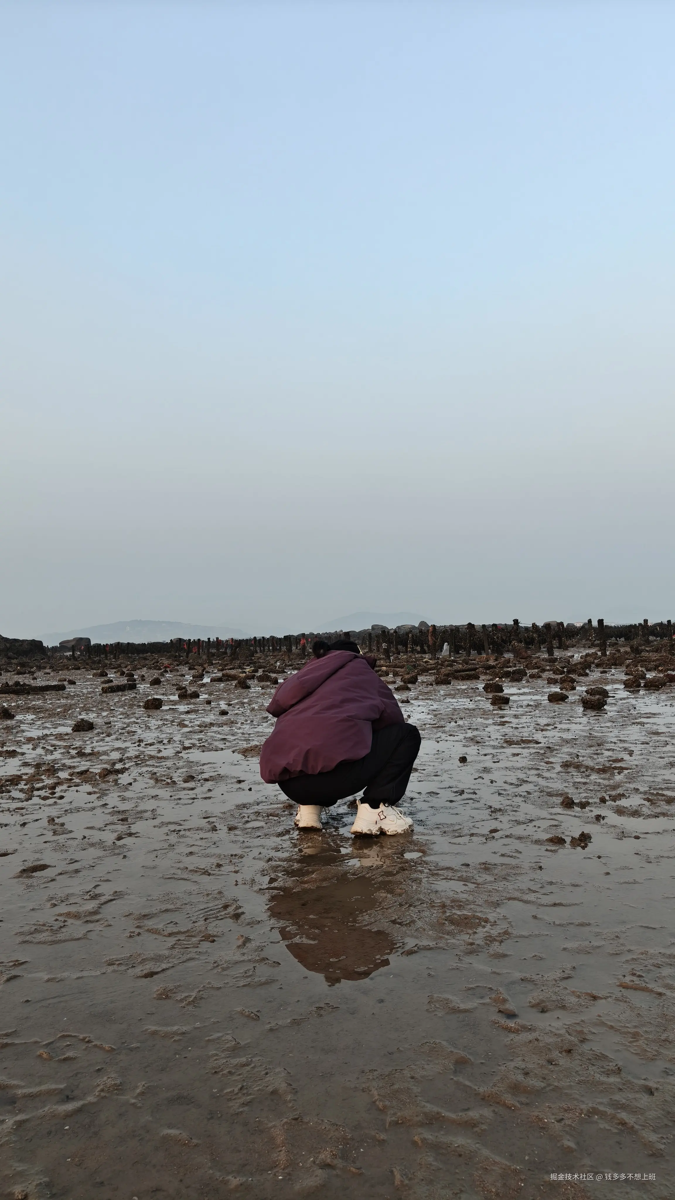 钱多多不想上班于2026-03-23 08:56发布的图片