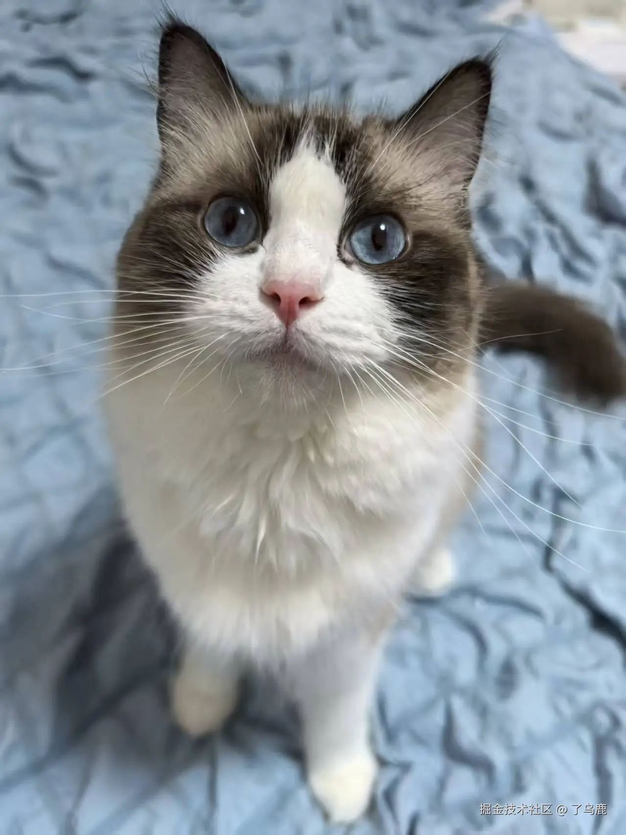 了乌鹿于2025-07-16 15:11发布的图片