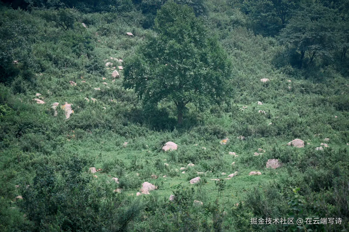 在云端写诗于2025-08-04 10:49发布的图片