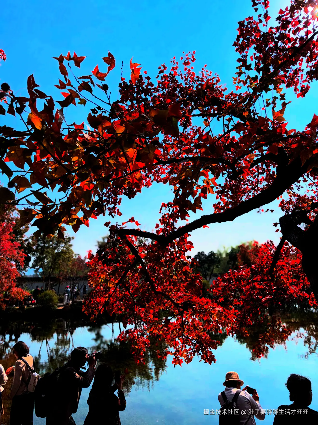 肚子要胖胖生活才旺旺于2025-11-16 00:20发布的图片