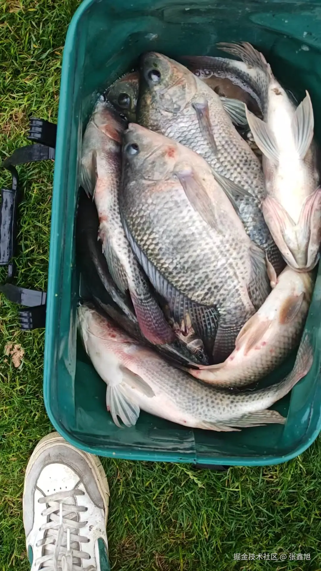 张鑫旭于2025-06-11 14:51发布的图片