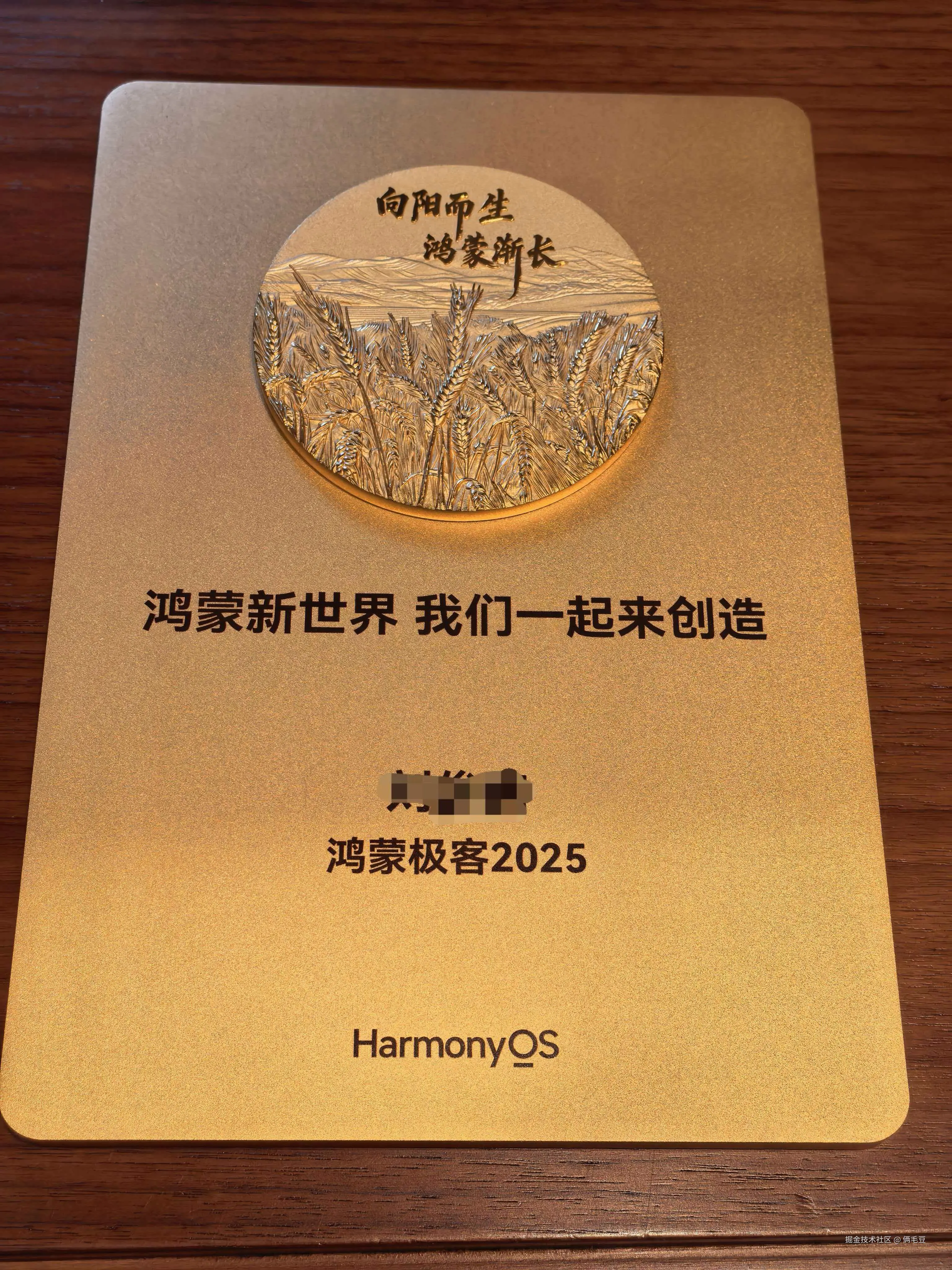 俩毛豆于2025-12-01 07:57发布的图片