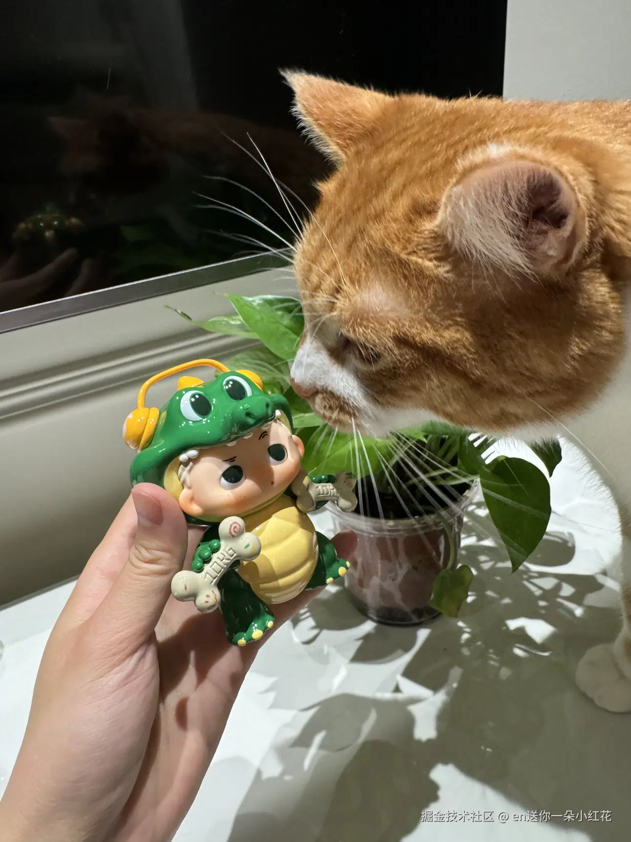 en送你一朵小红花于2024-09-04 15:51发布的图片