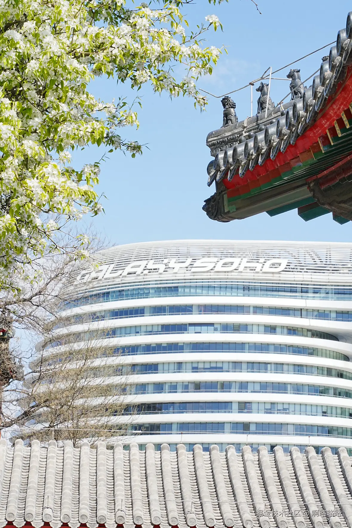 啊略略略于2025-04-02 14:21发布的图片