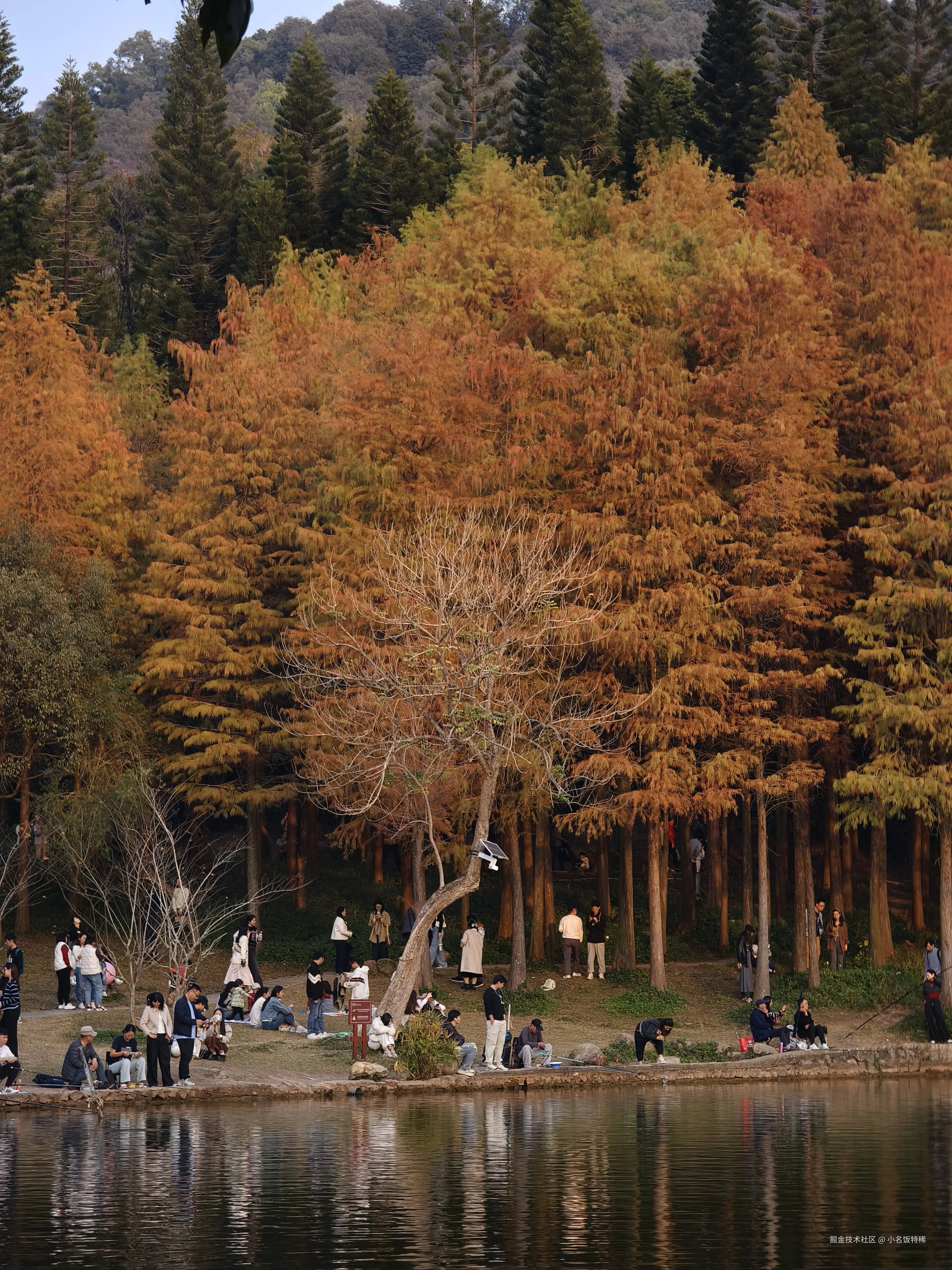 小名饭特稀于2025-01-20 14:49发布的图片