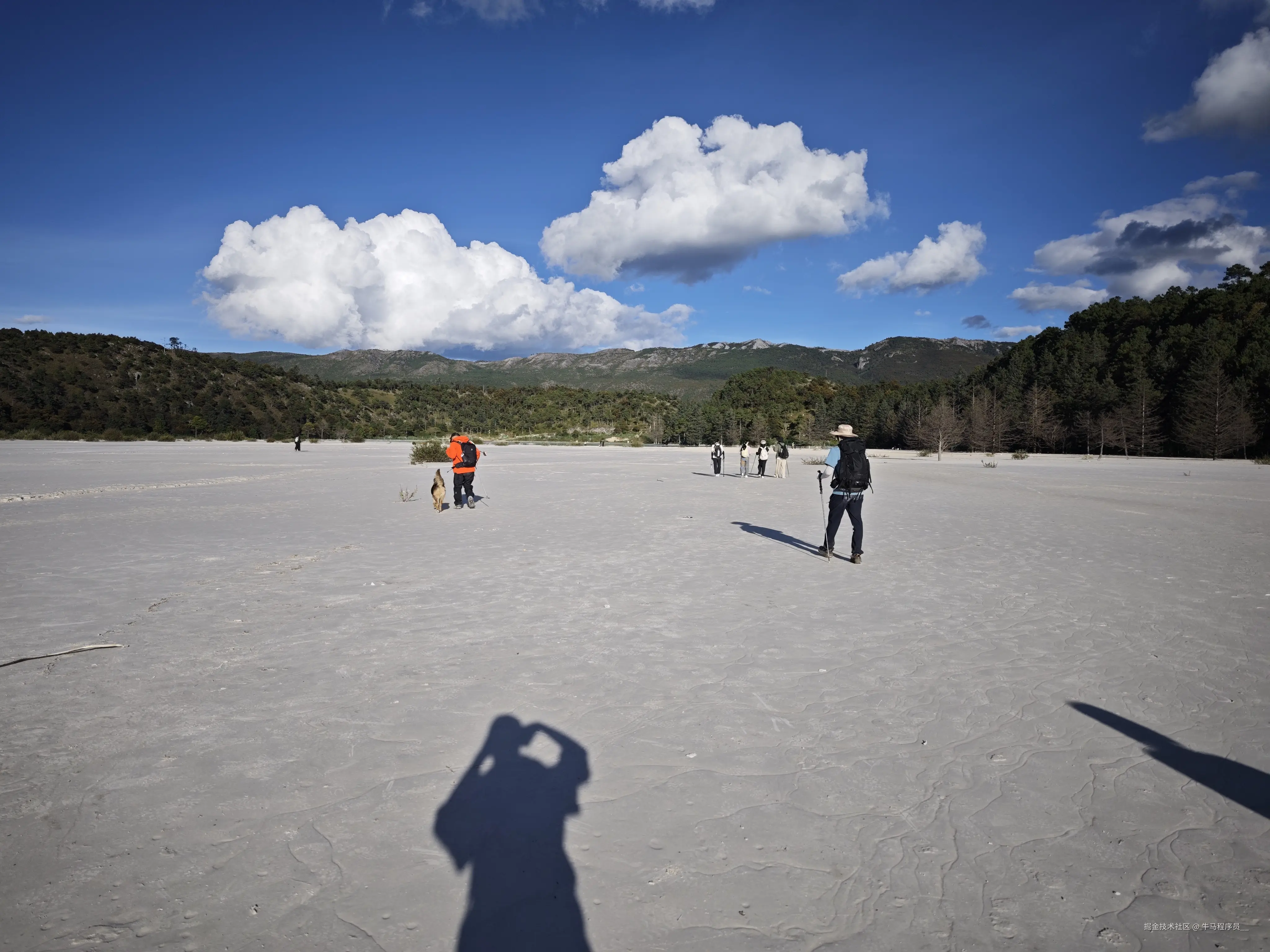 牛马程序员__于2025-10-09 13:51发布的图片