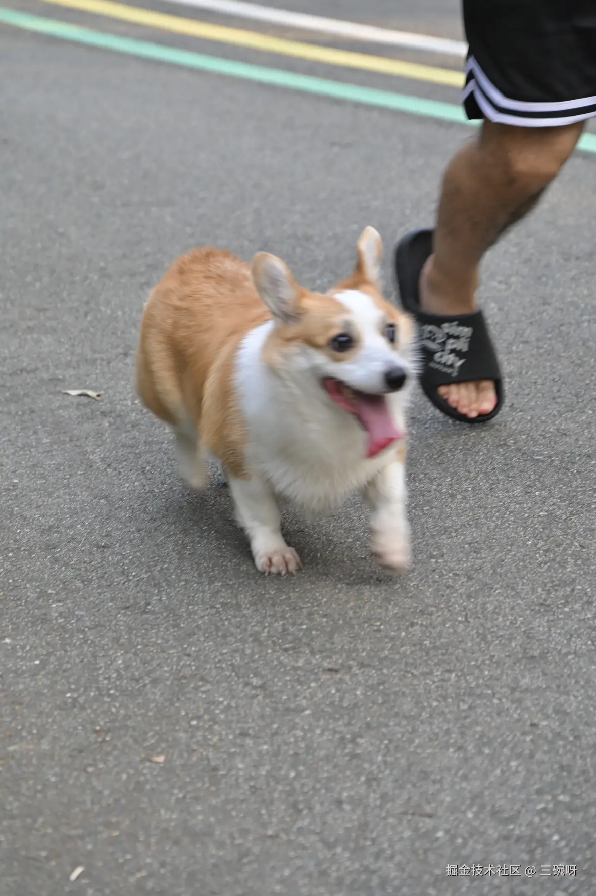 三碗呀于2025-09-23 08:58发布的图片