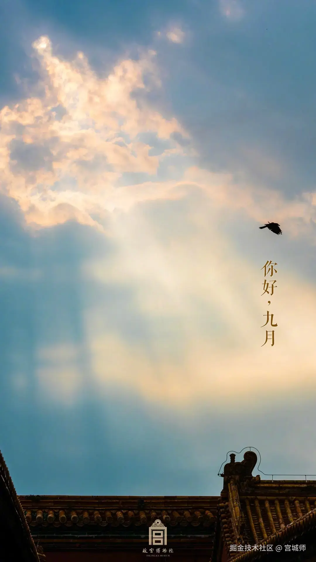 宫城师于2024-09-02 09:21发布的图片