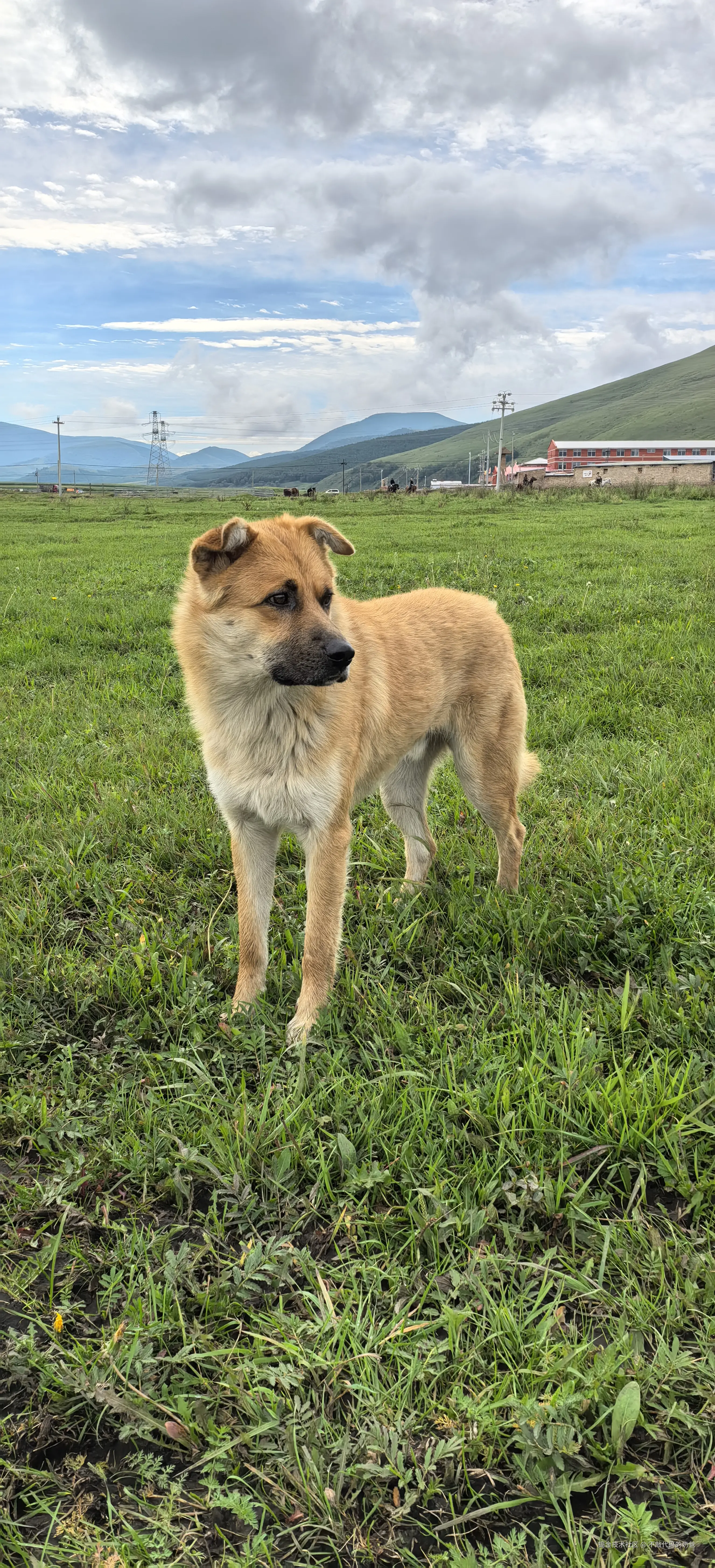 不敲代码的奶爸于2024-09-02 07:36发布的图片