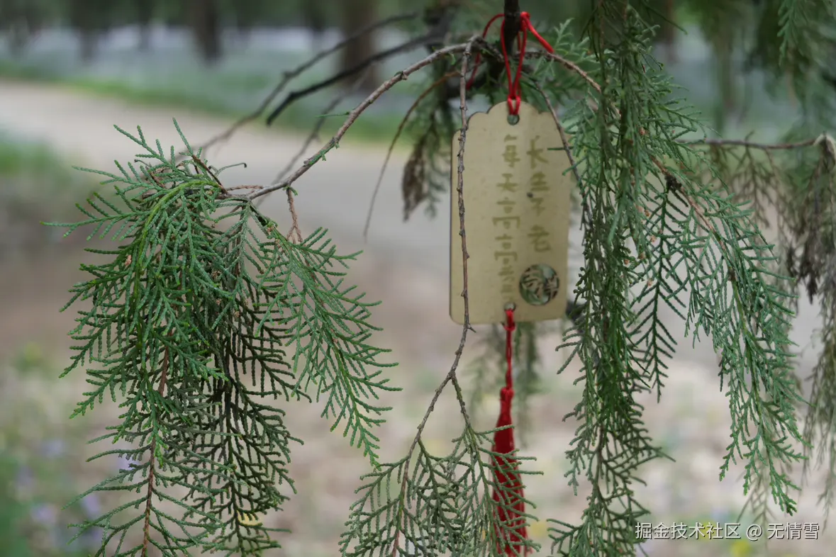 无情雪于2025-05-07 22:30发布的图片