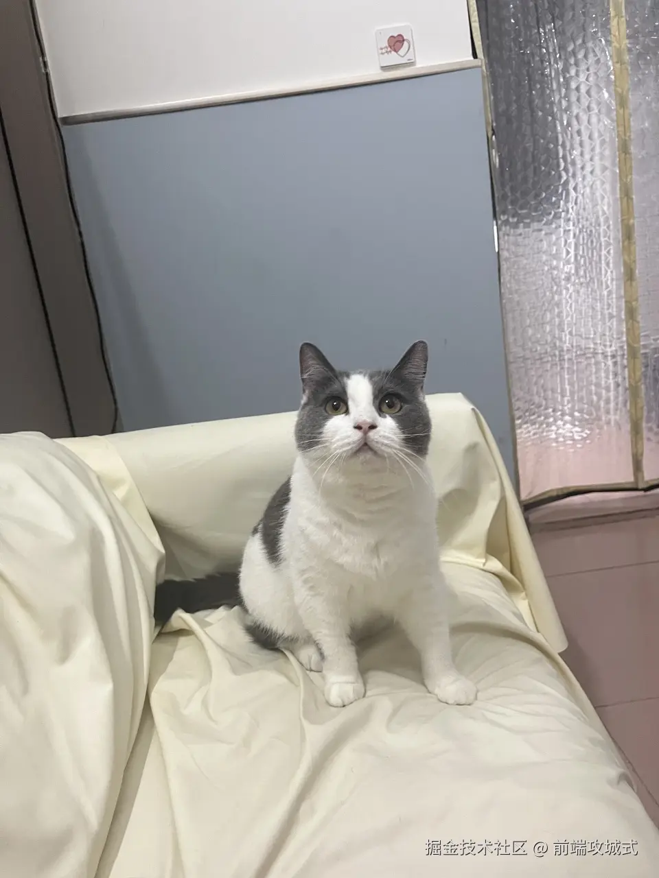 前端攻城式于2026-03-19 10:53发布的图片