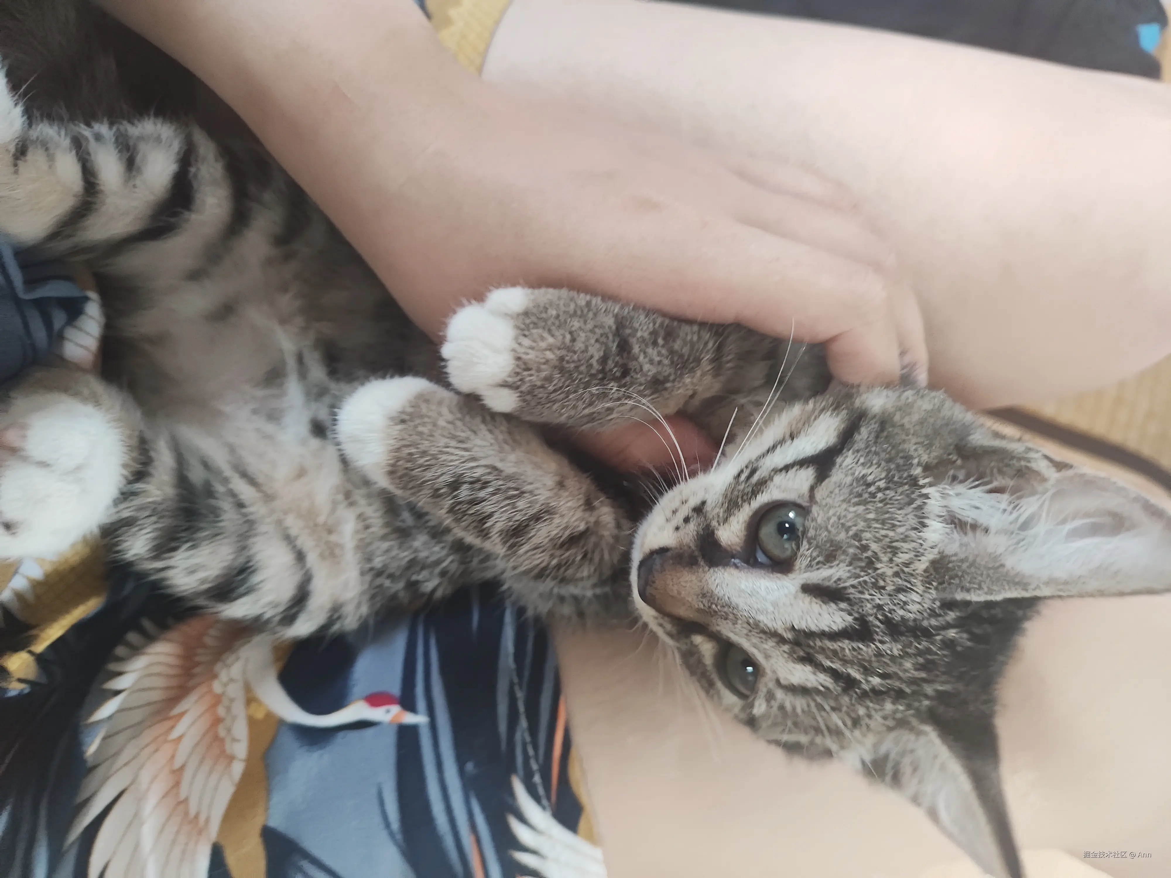 Ann于2024-08-23 11:22发布的图片