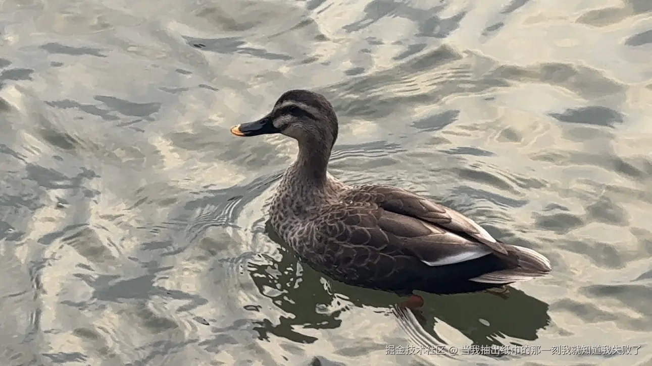 当我抽出纸巾的那一刻我就知道我失败了于2025-02-13 18:51发布的图片