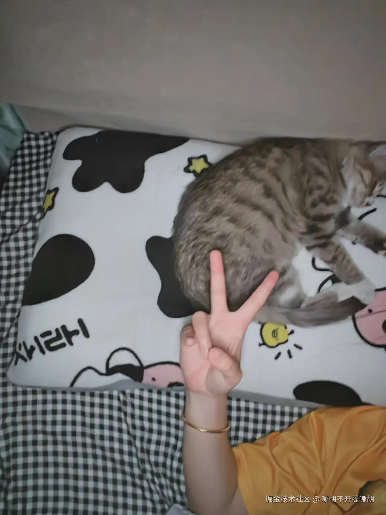 哪胡不开提哪胡于2024-11-11 11:04发布的图片