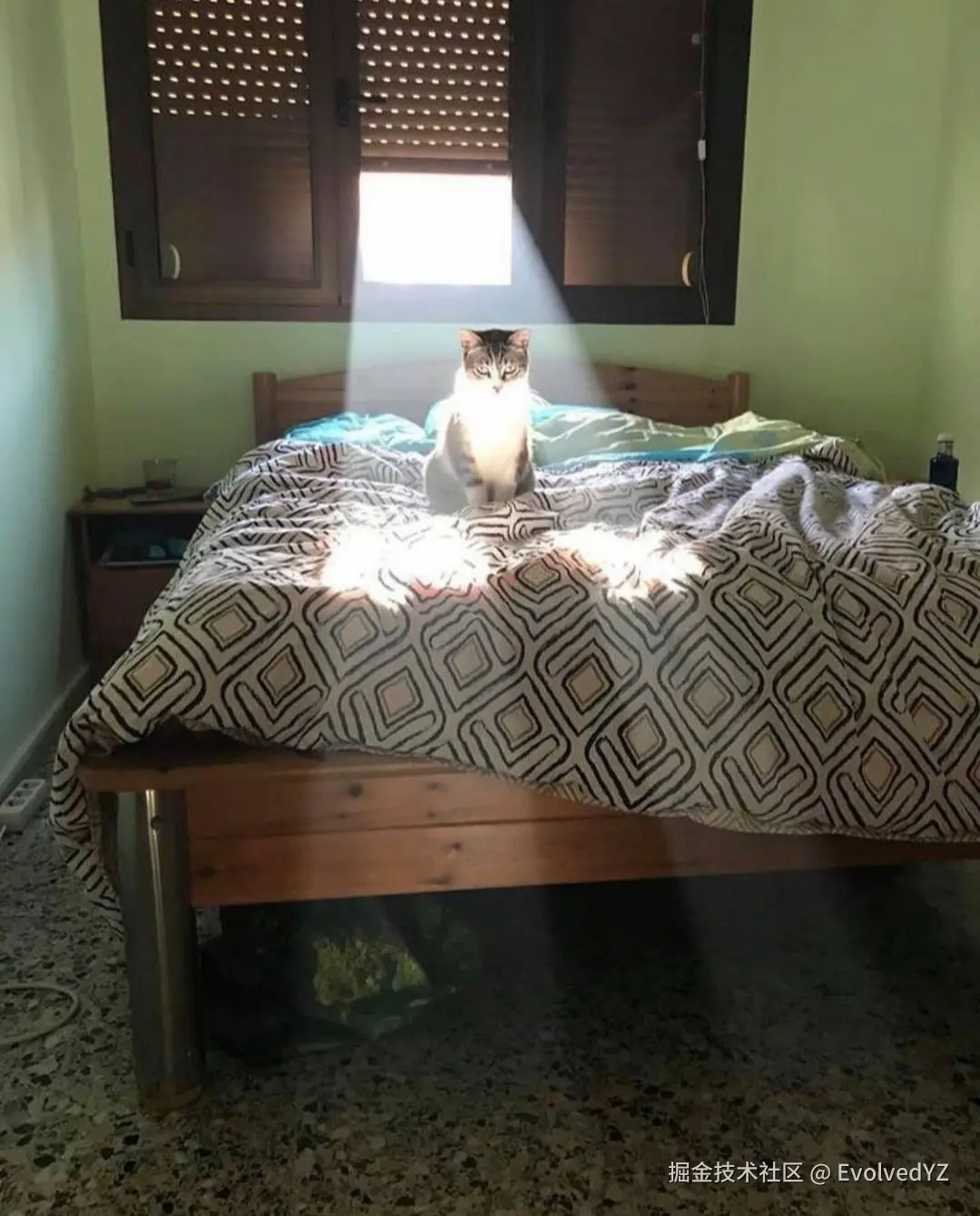 EvolvedYZ于2024-08-13 19:24发布的图片