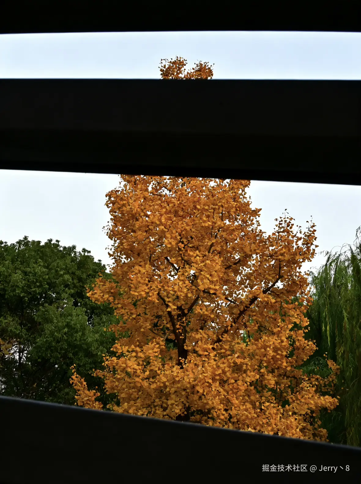 Jerry丶8于2025-12-08 10:12发布的图片